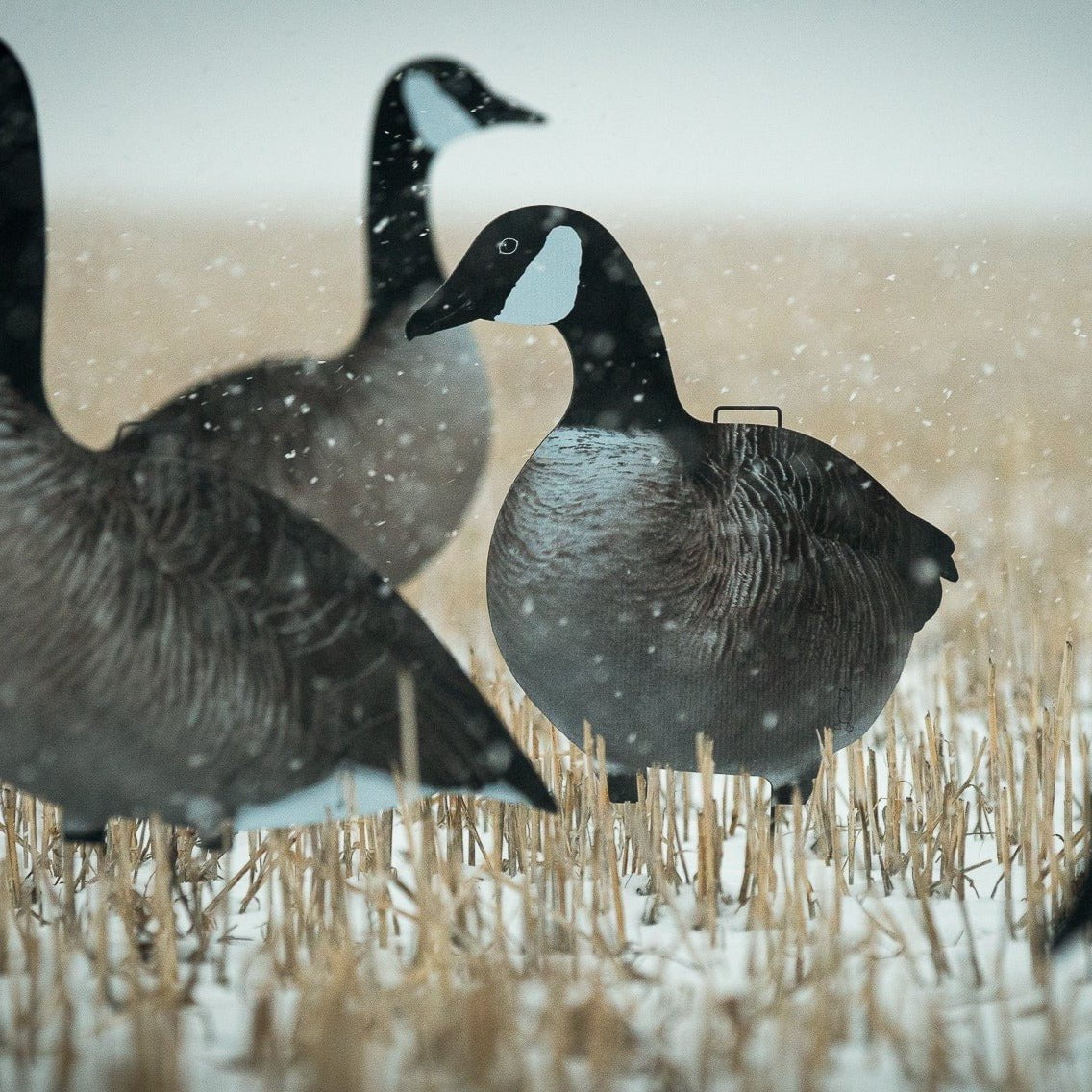 V2A Alternate Canada Goose Silhouettes - Image 4