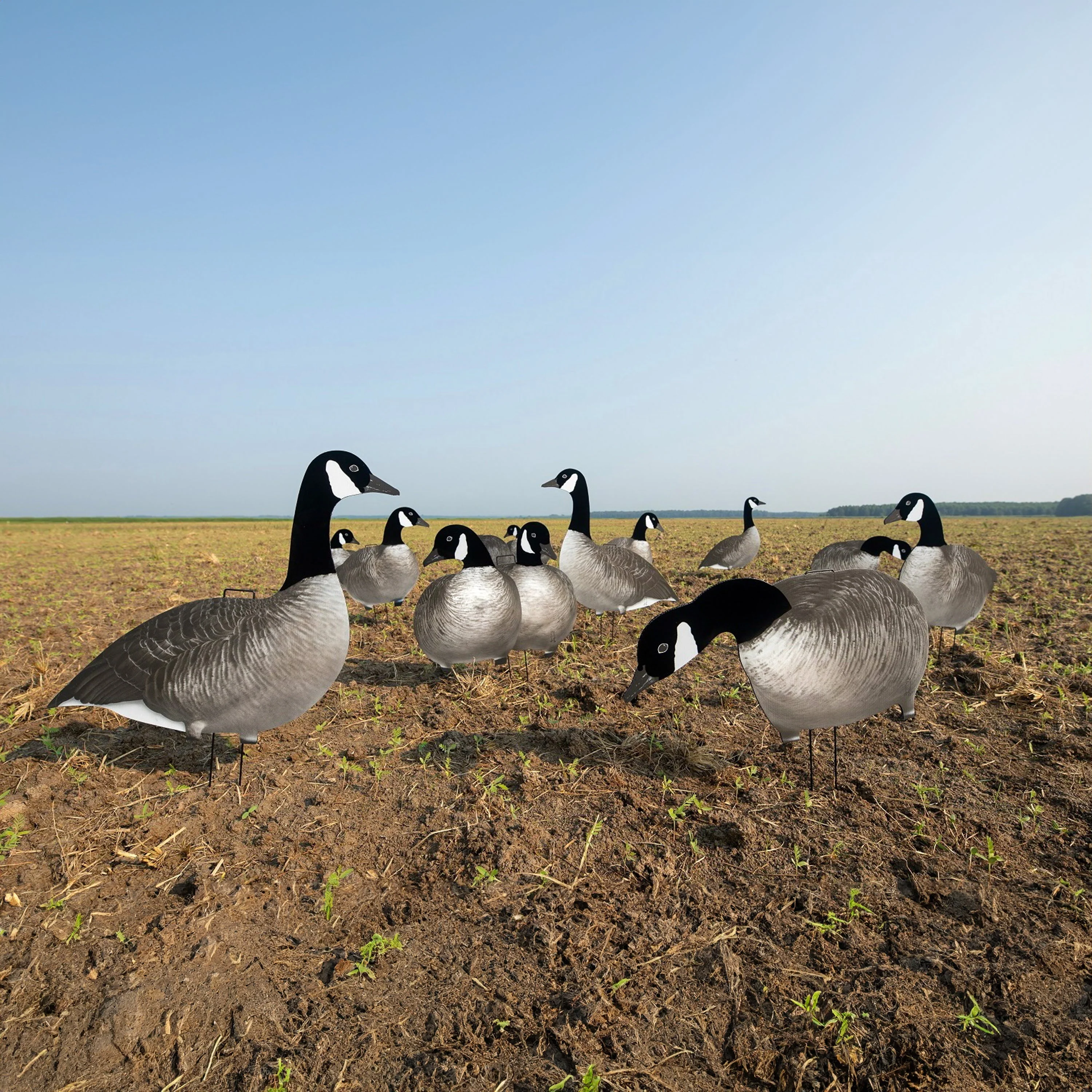 V2AF Alternate Flocked Canada Goose Silhouettes - Image 3