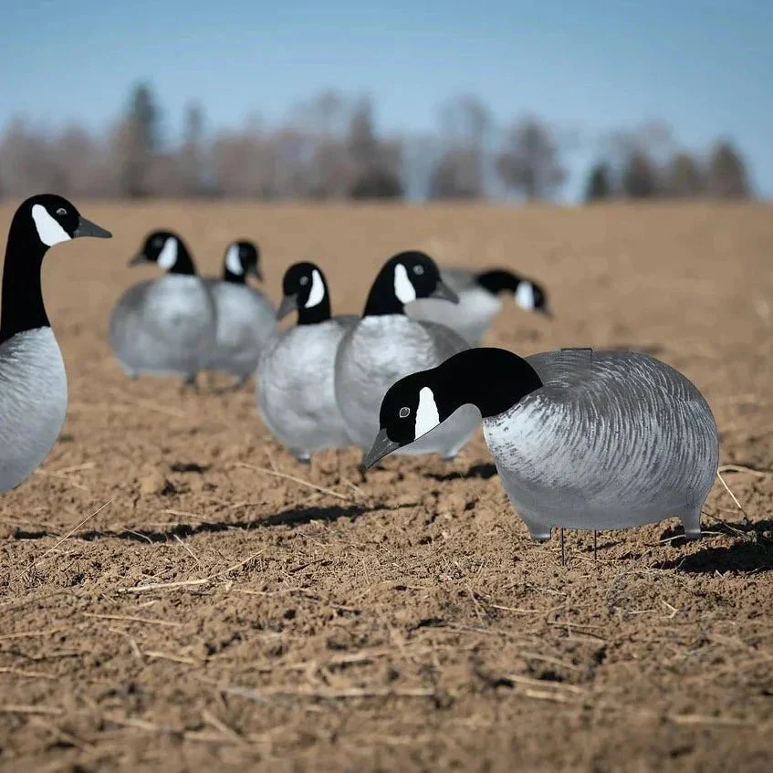 V2AF Alternate Flocked Canada Goose Silhouettes - Image 4