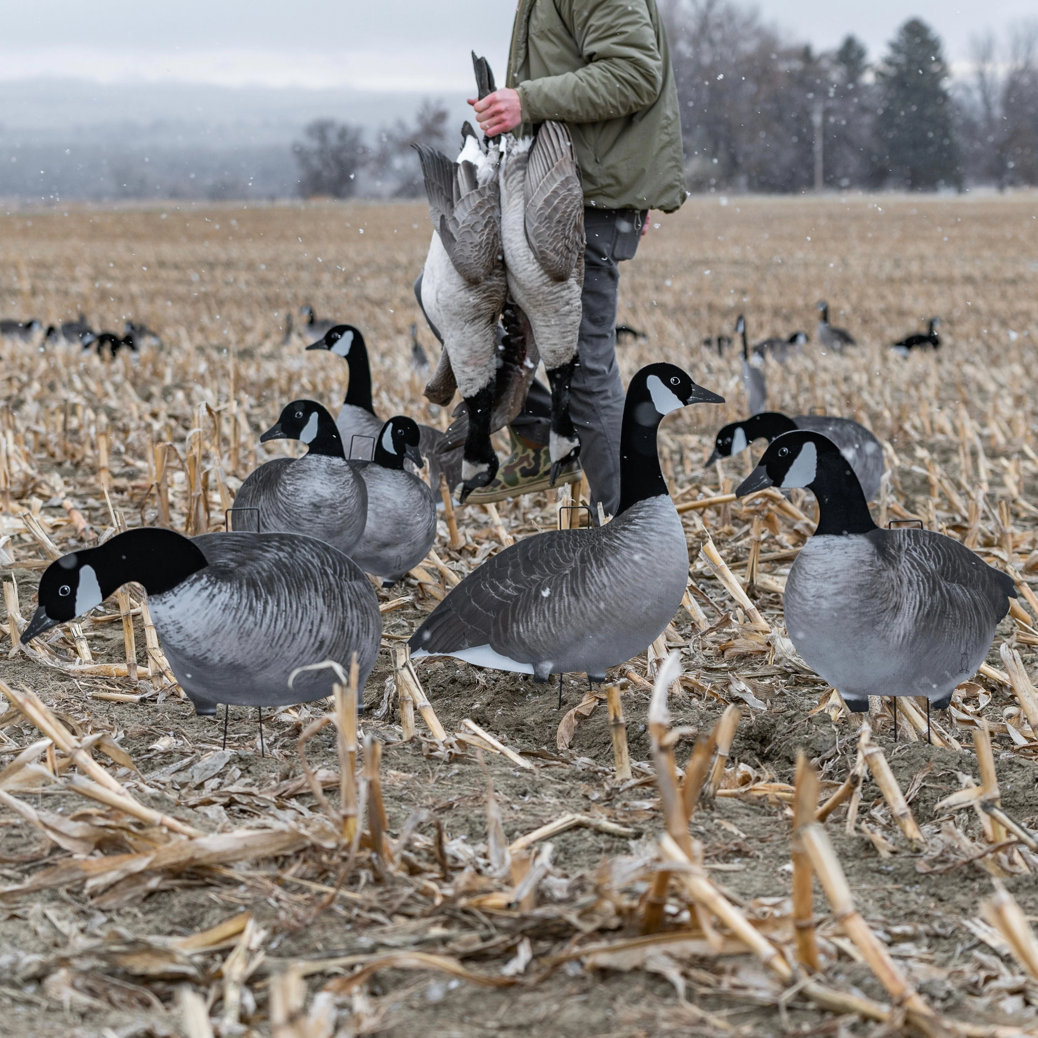 V2AF Alternate Flocked Canada Goose Silhouettes - Image 5