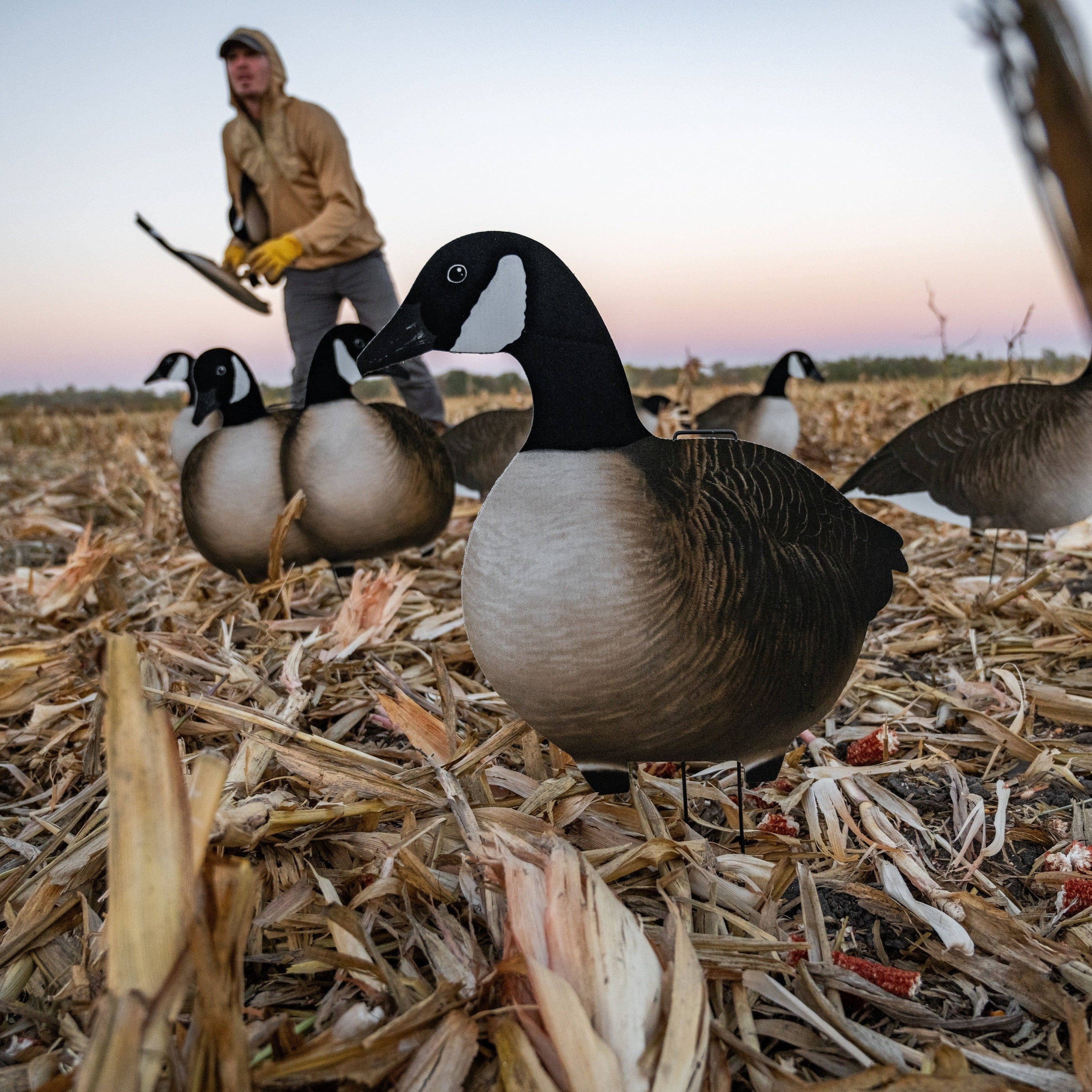 V2AFF Alternate Fully Flocked Canada Goose Silhouettes - Image 5