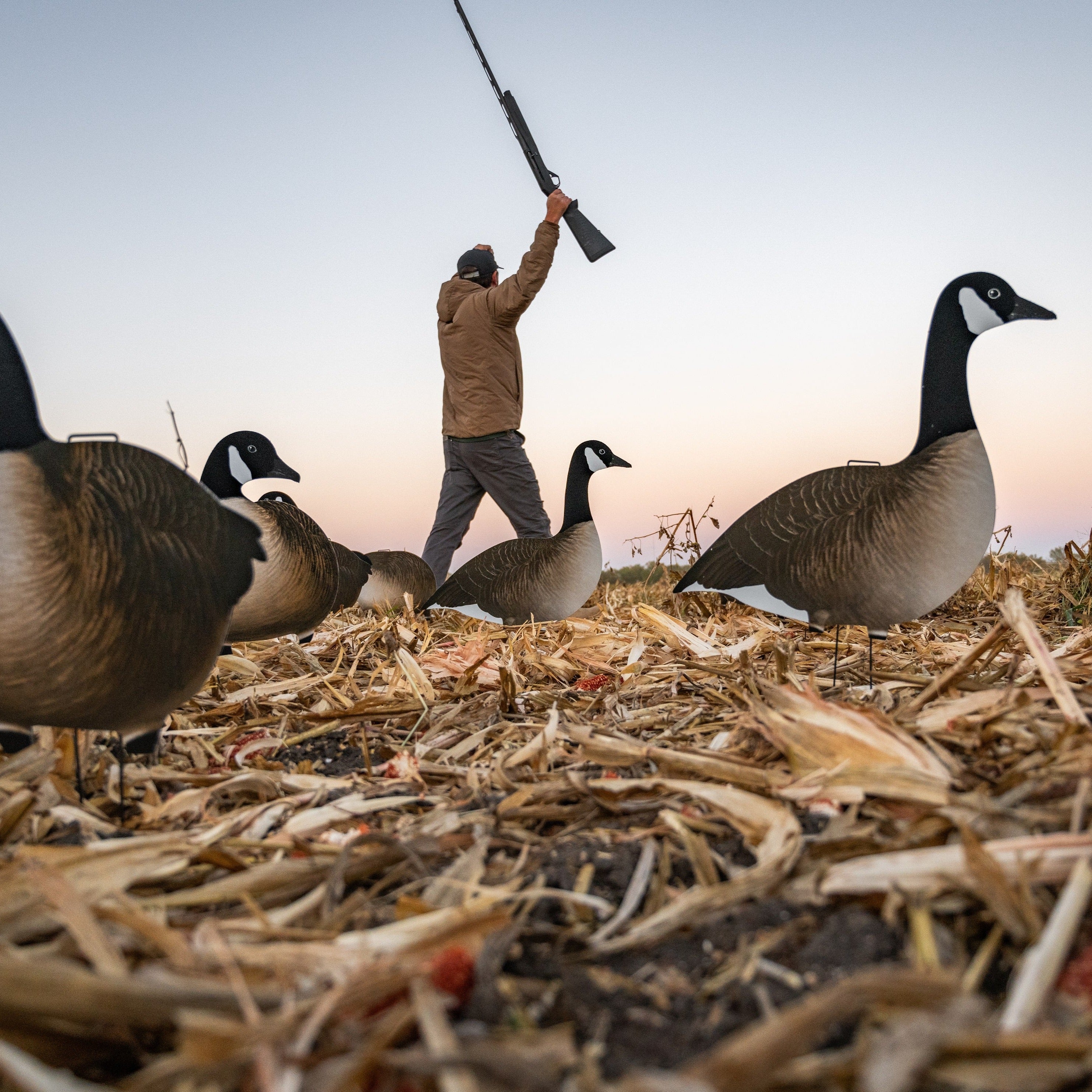 V2AFF Alternate Fully Flocked Canada Goose Silhouettes - Image 6