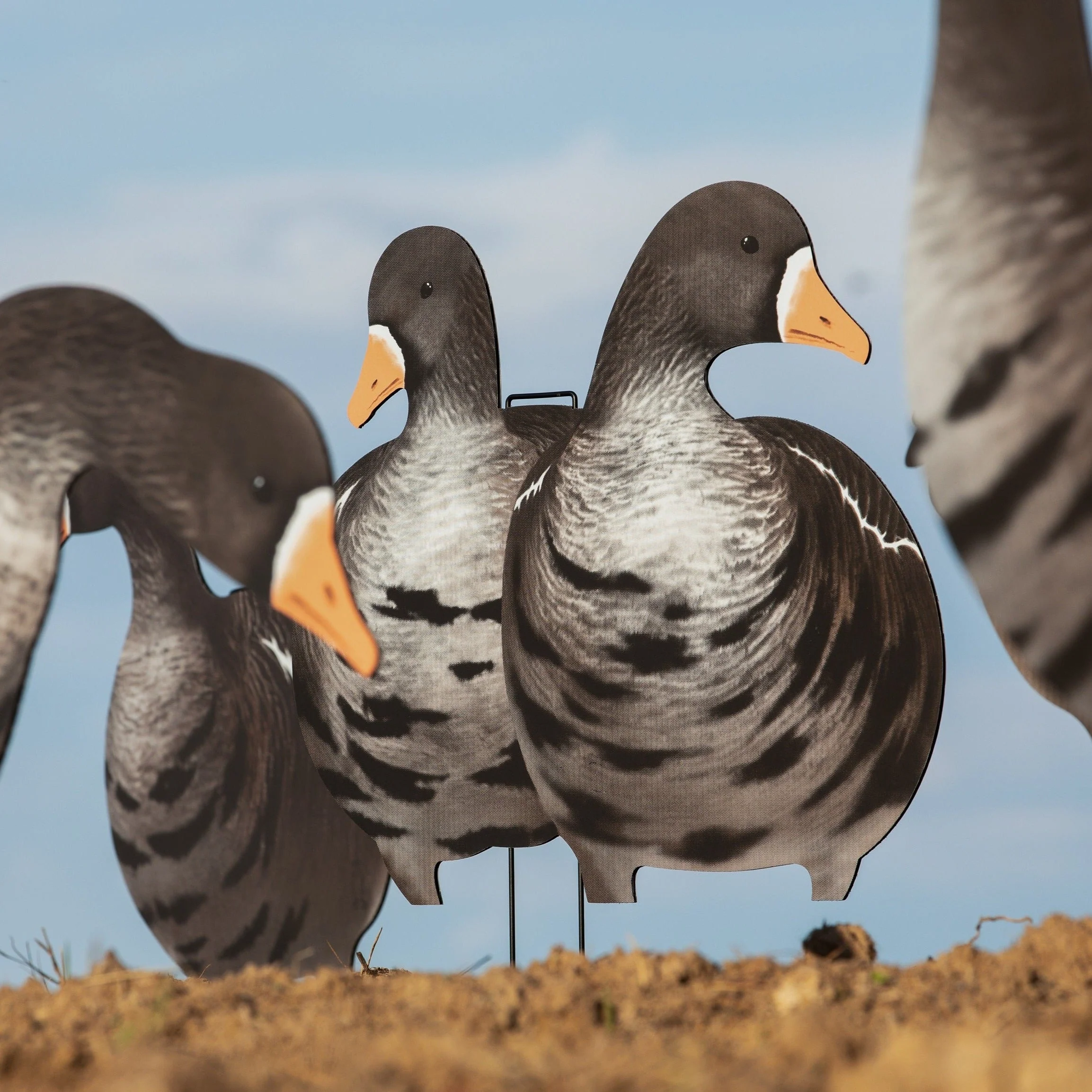 V2A Alternate Specklebelly Goose Silhouettes - Image 3