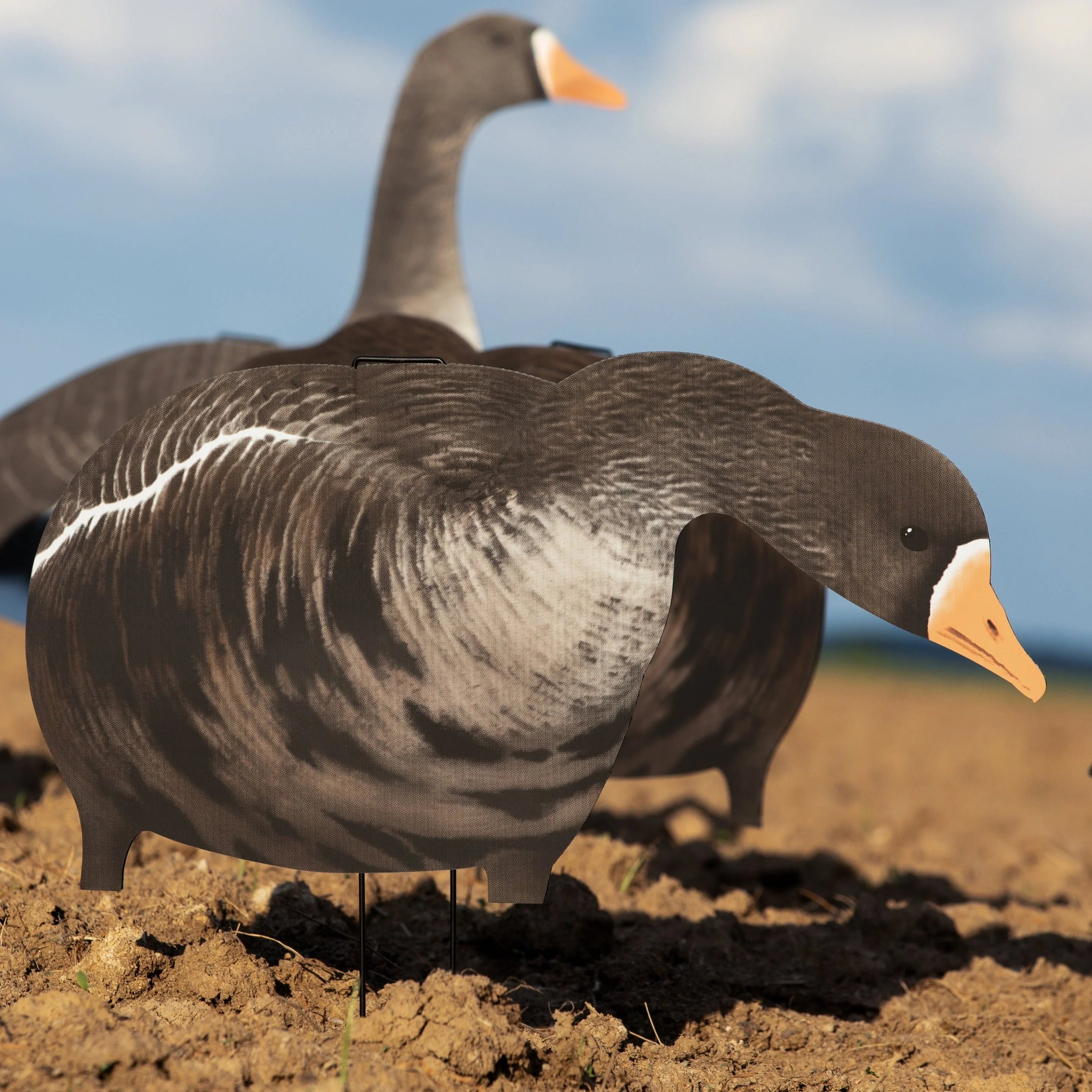 V2A Alternate Specklebelly Goose Silhouettes - Image 4