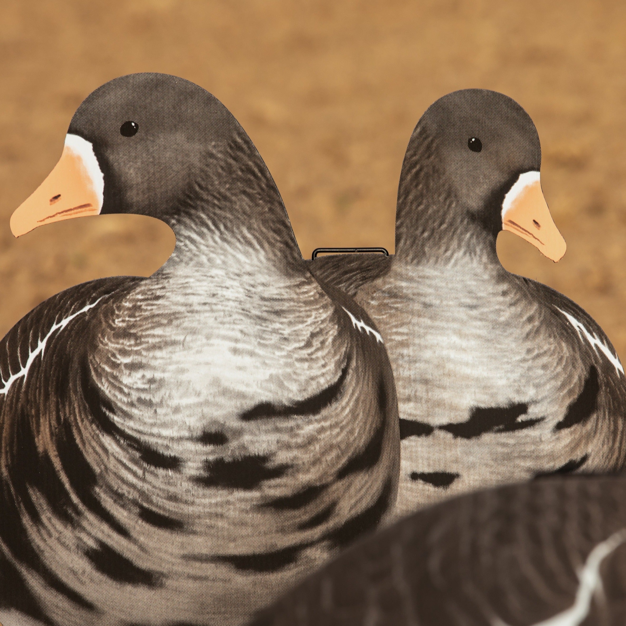 V2A Alternate Specklebelly Goose Silhouettes - Image 5