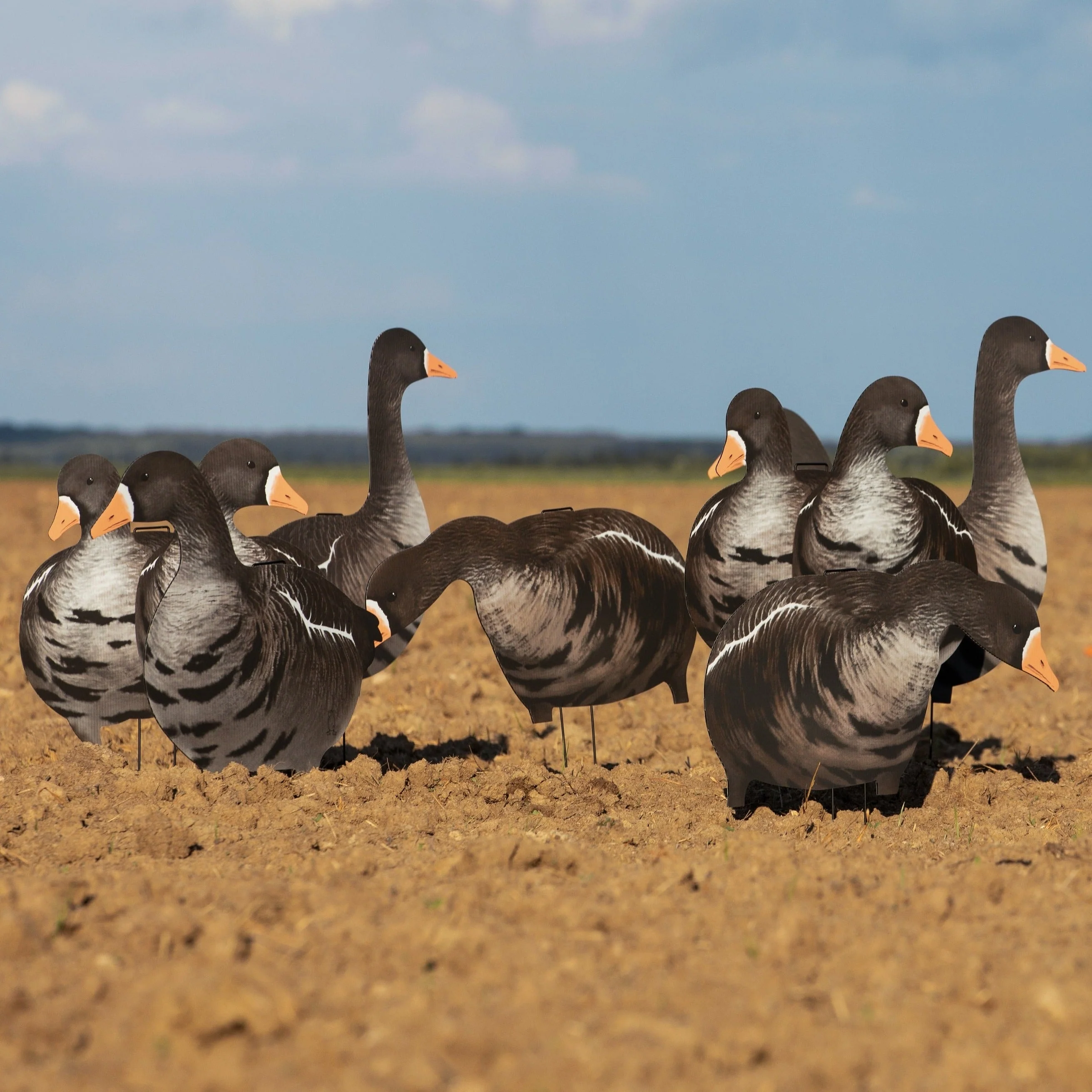 V2A Alternate Specklebelly Goose Silhouettes - Image 6