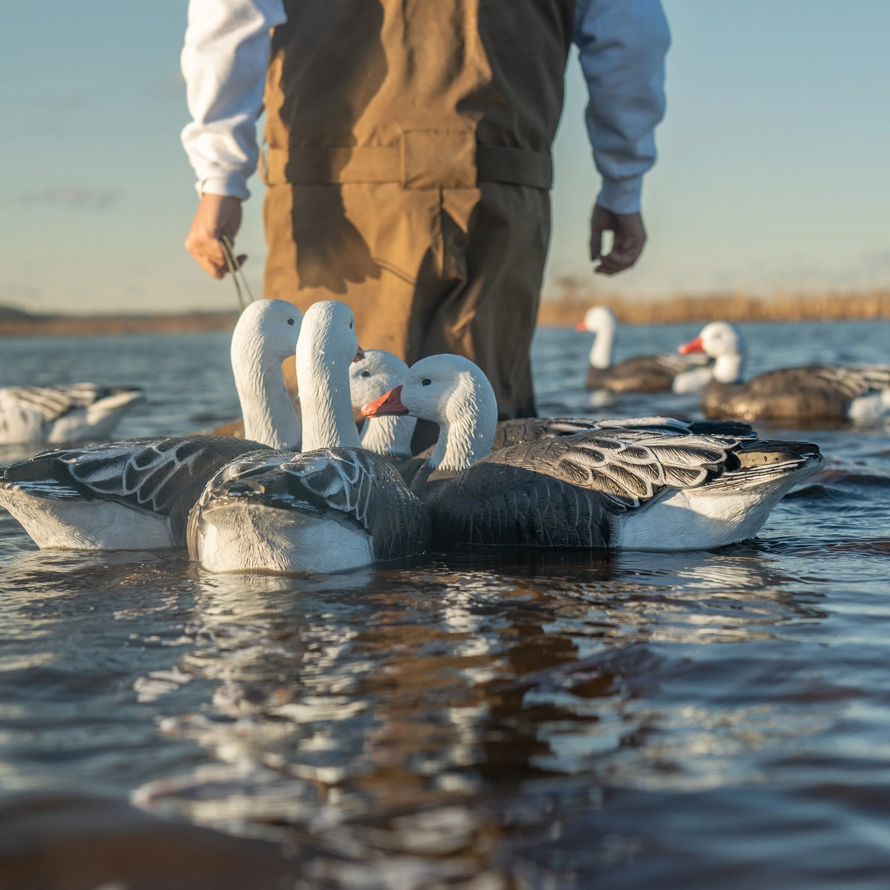 F1 Blue Goose Floaters - Image 3