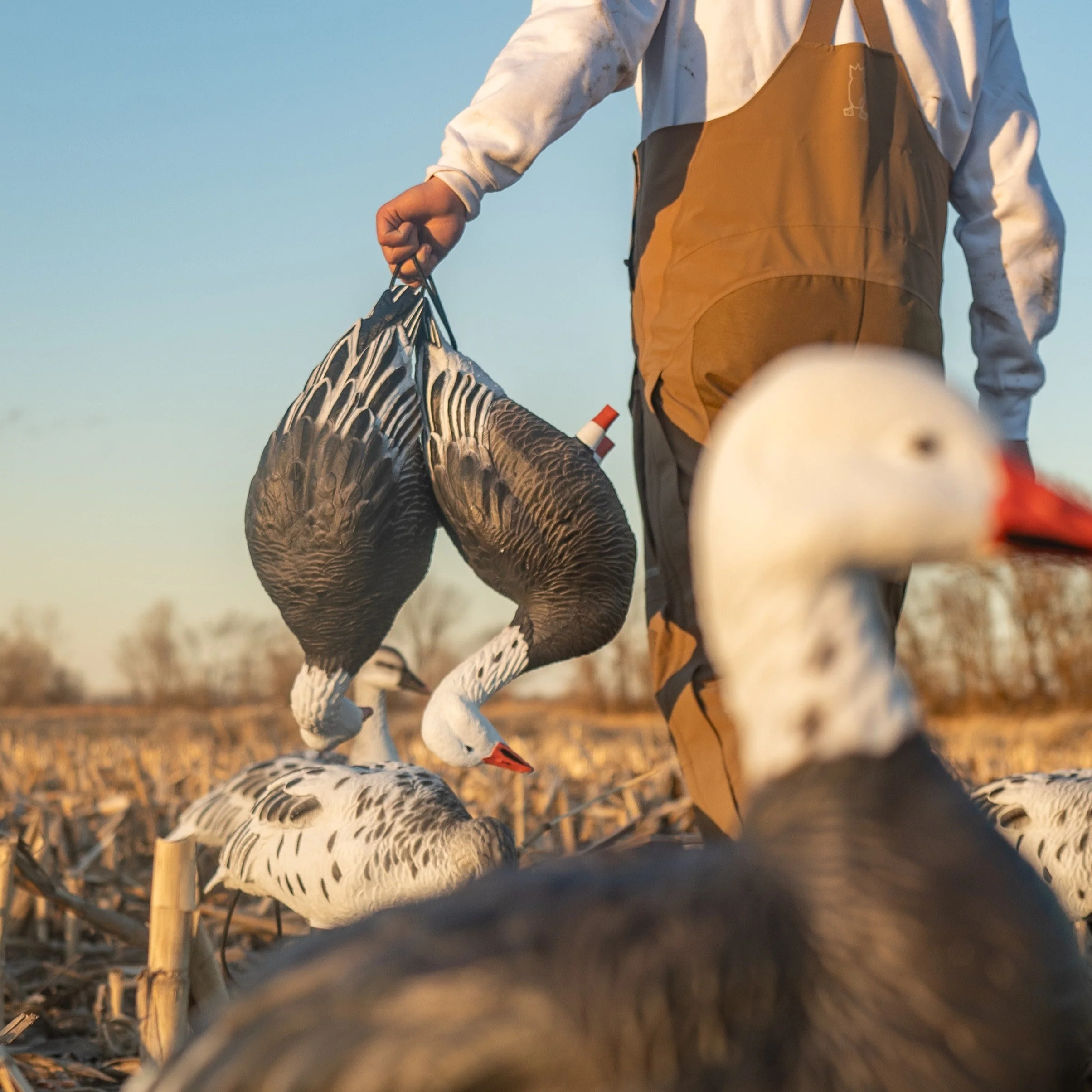 FB Blue Goose Full Bodies - Image 5
