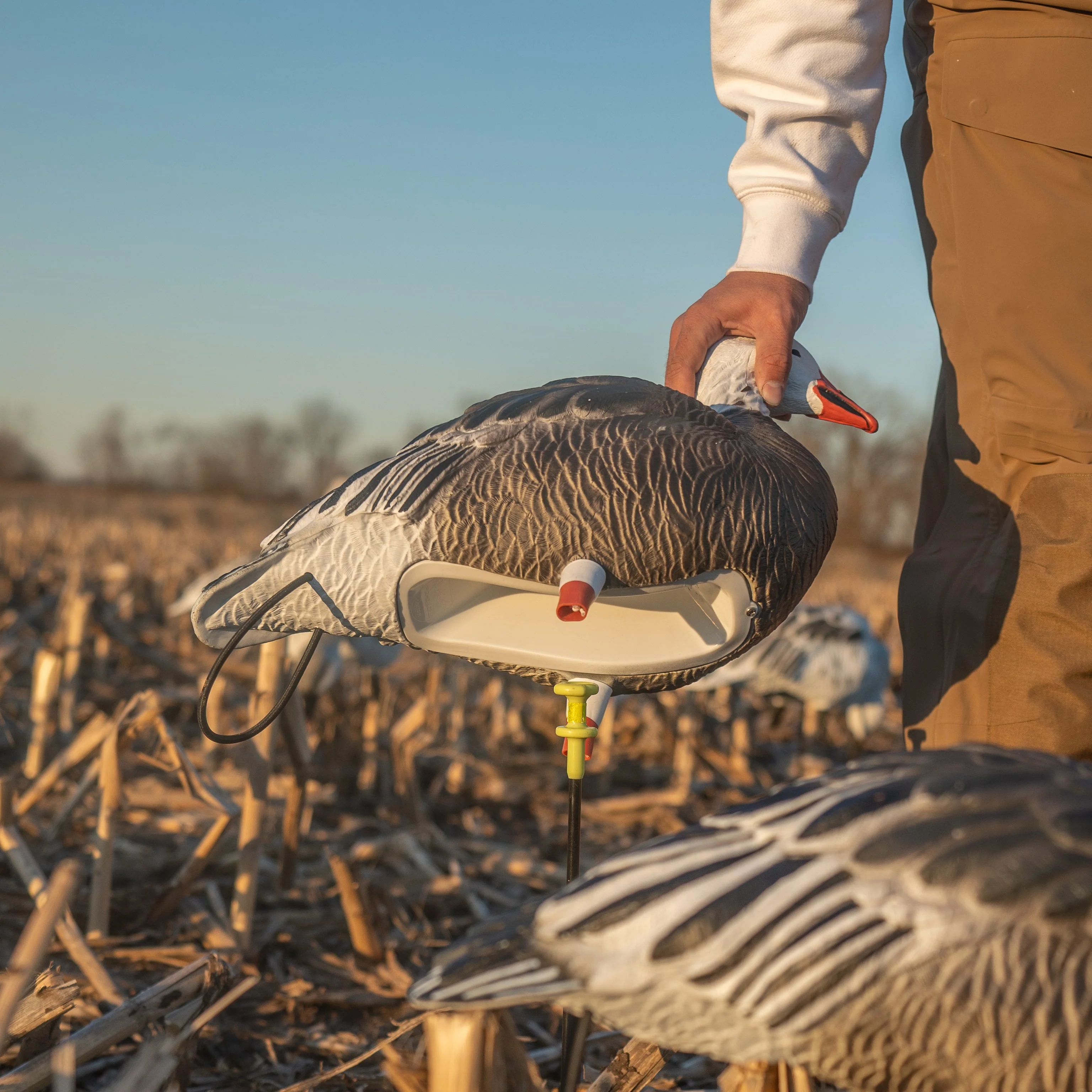 FB Blue Goose Full Bodies - Image 6