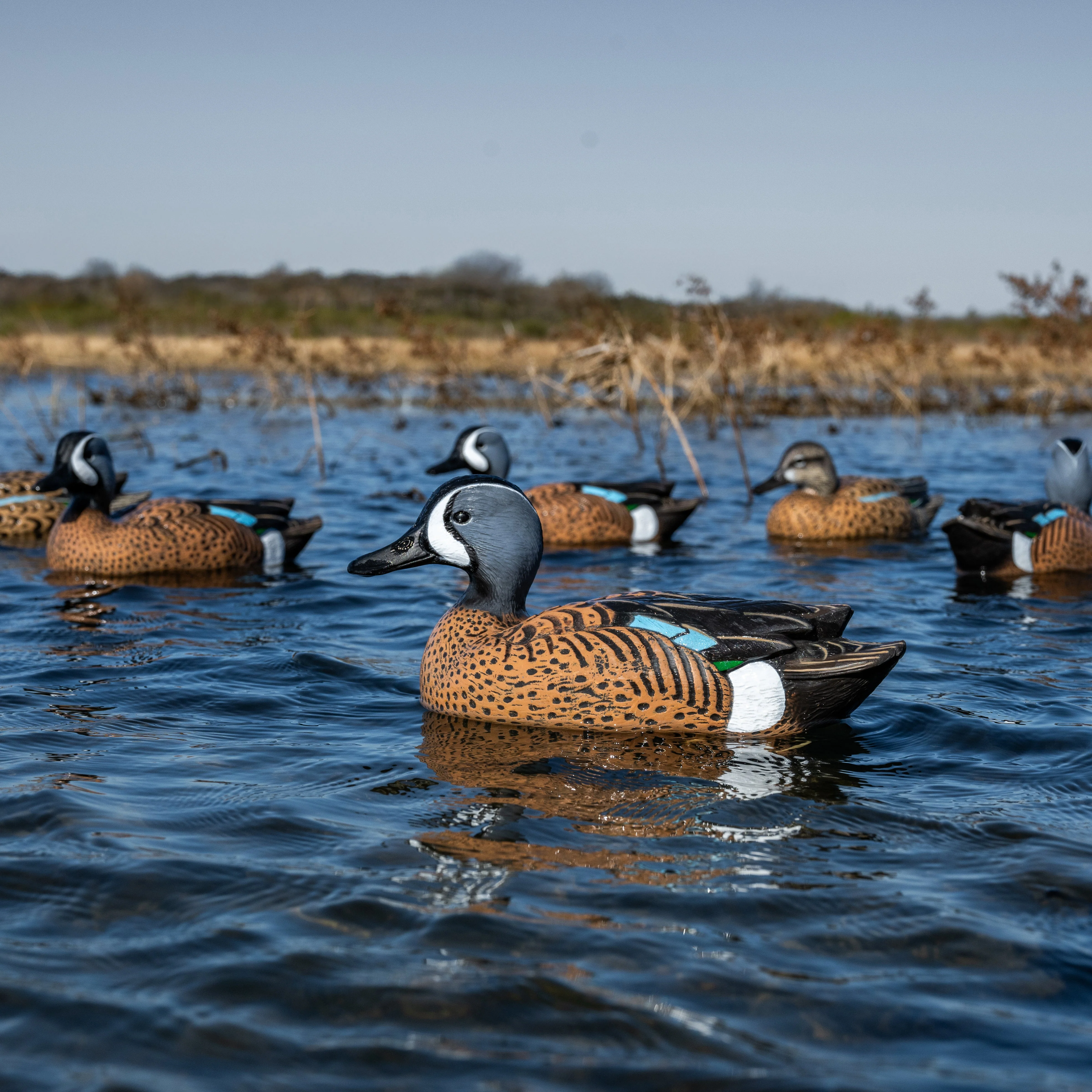 F1 Blue-winged Teal Floaters - Image 10