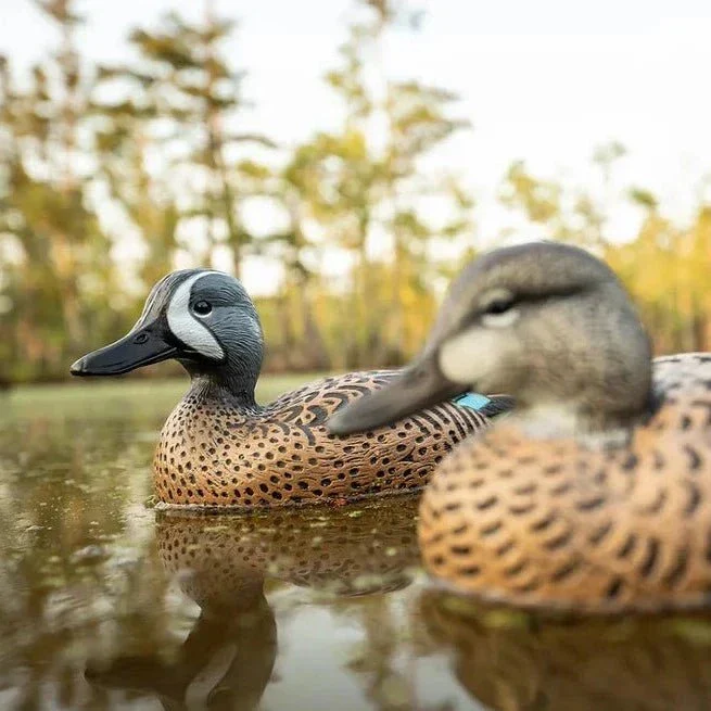 F1 Blue-winged Teal Floaters - Image 4