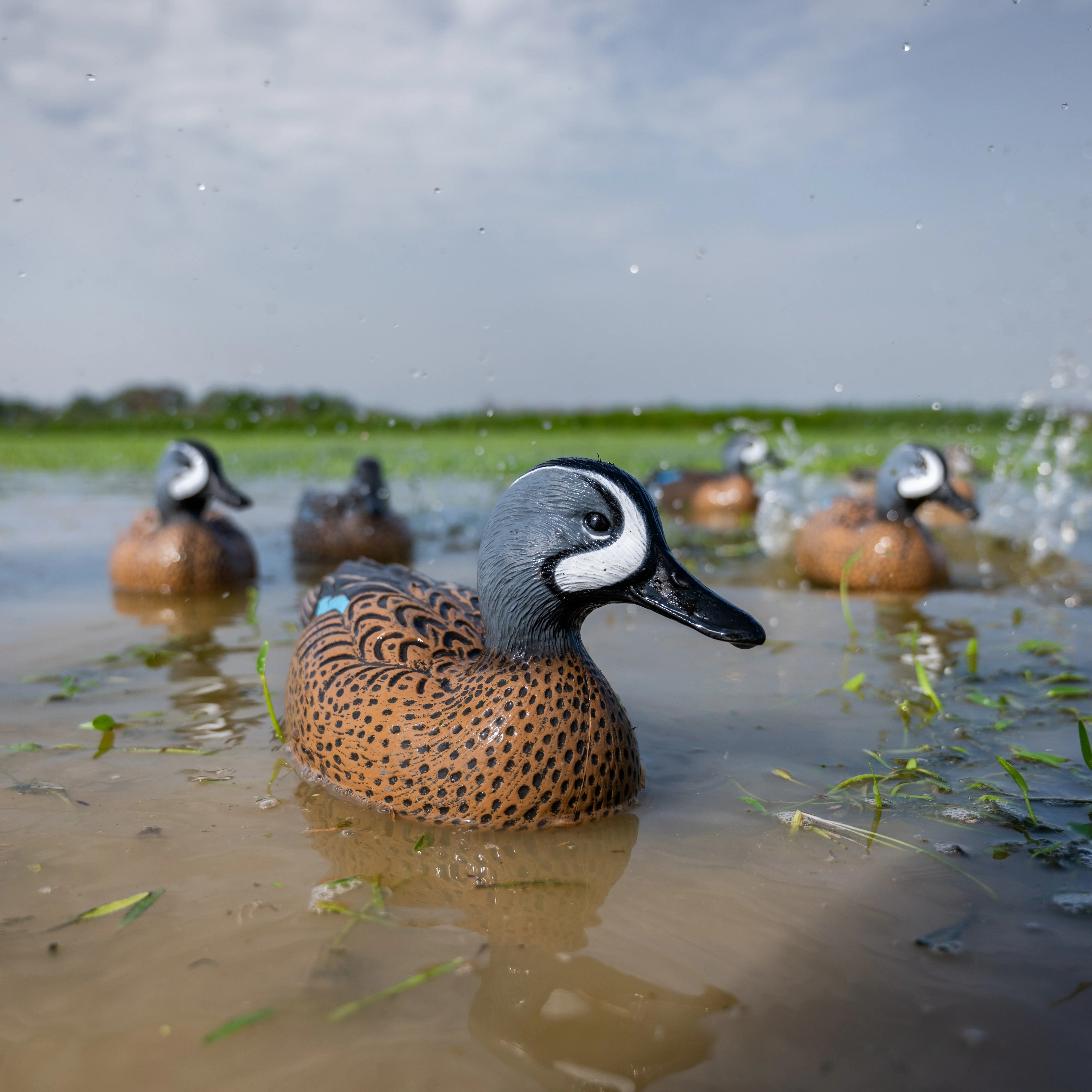 F1 Blue-winged Teal Floaters - Image 6