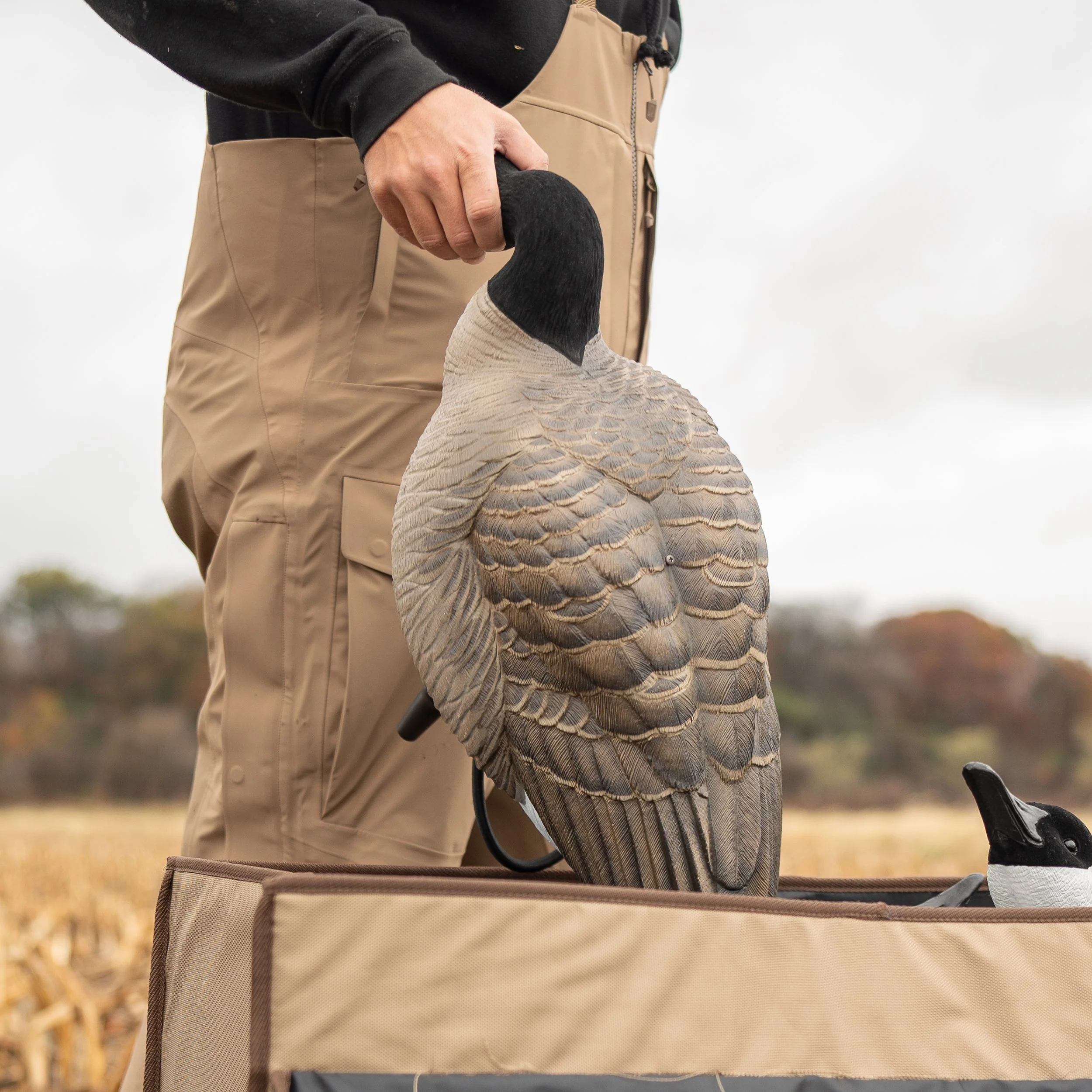 FB Flocked Canada Goose Full Bodies - Image 13