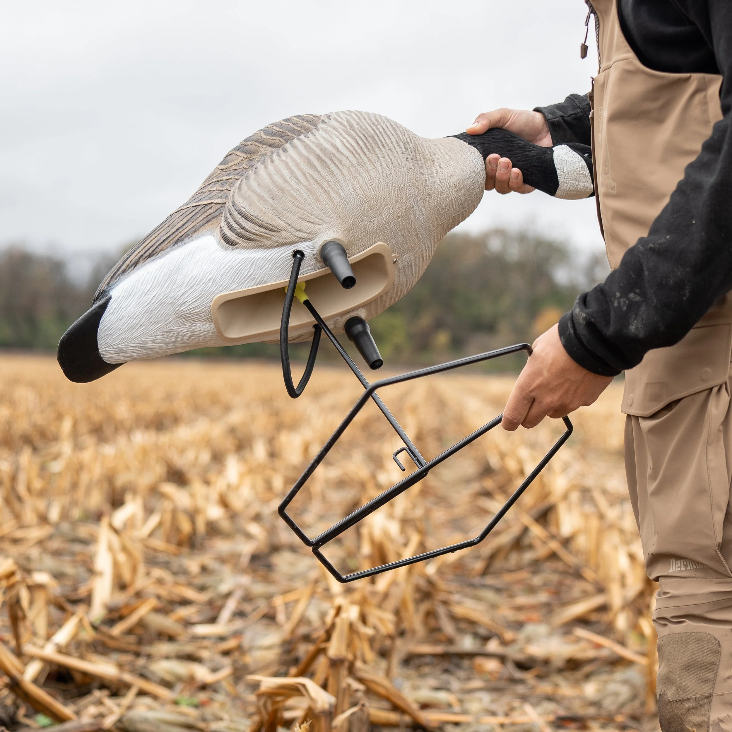 FB Flocked Canada Goose Full Bodies - Image 9