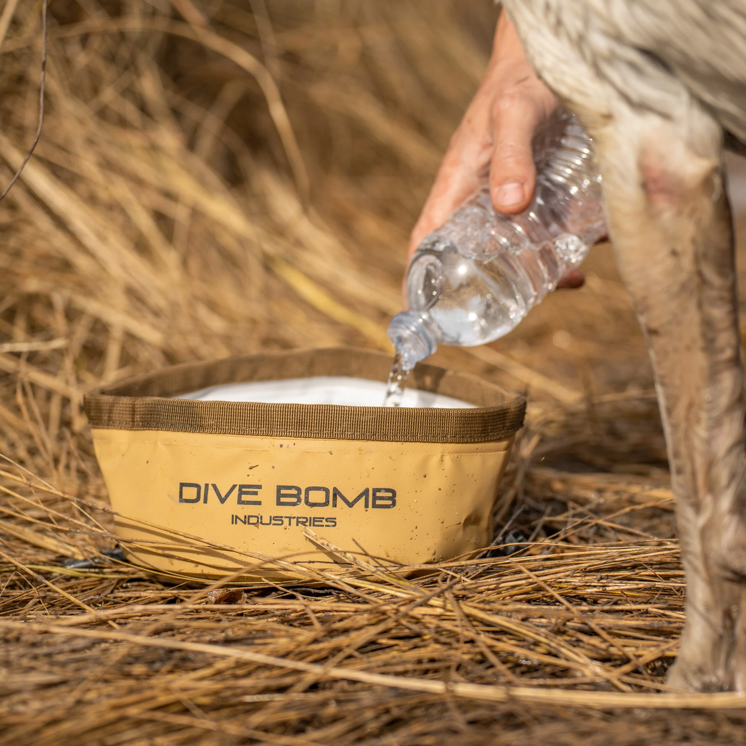 Collapsible Dog Bowl - Image 5