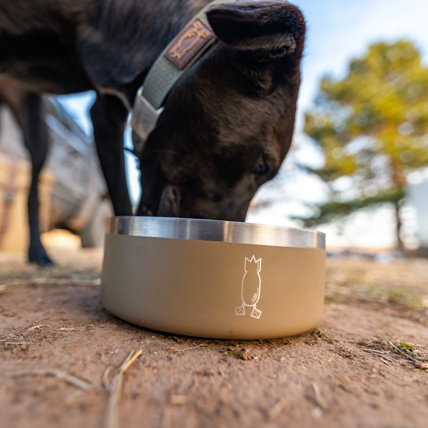 32 oz Fido Medium Dog Bowl