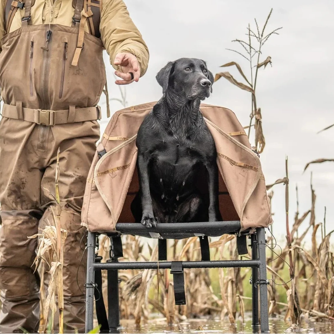 Elev8 Elevated Hunting Dog Blind - Image 6