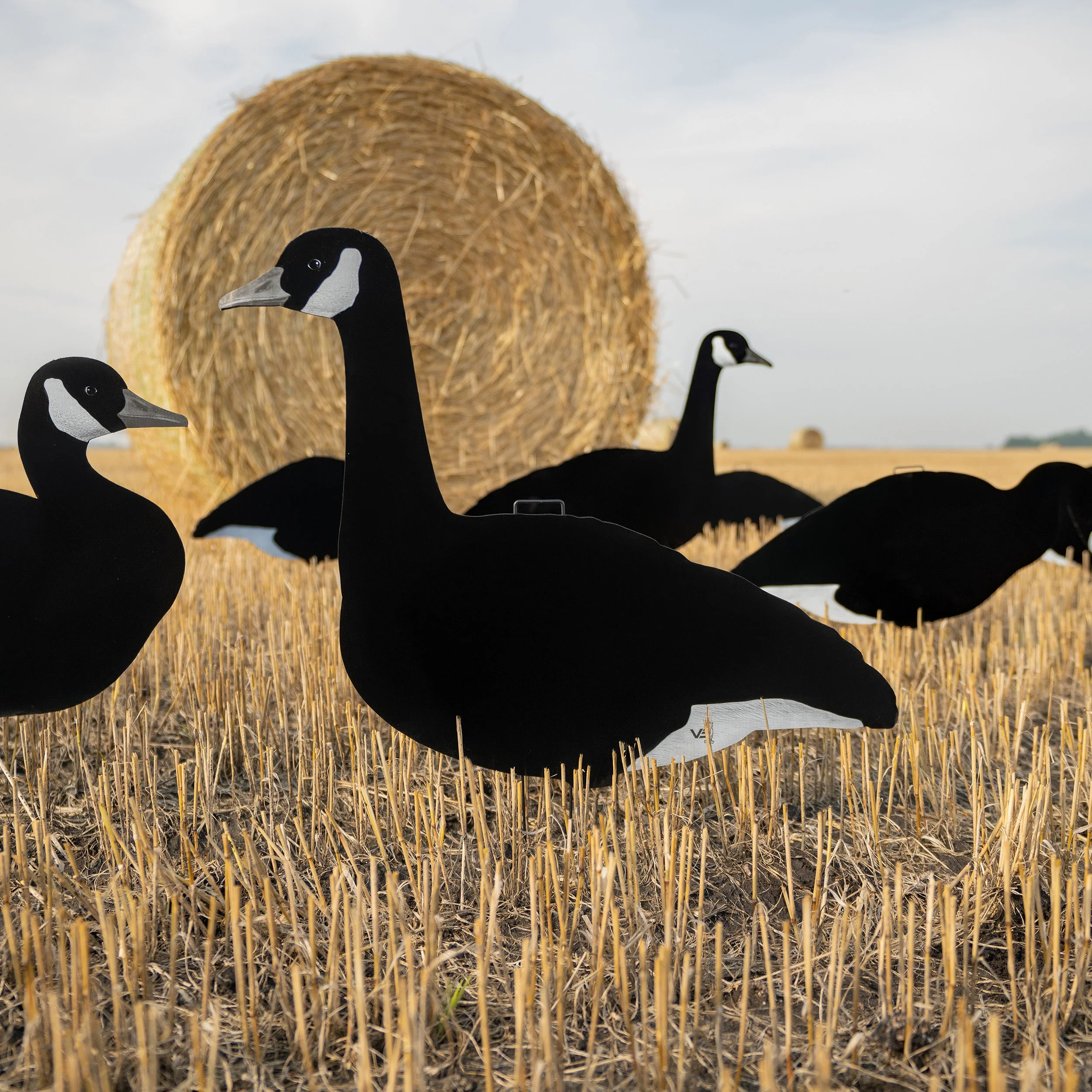 V3BW Flocked Black and White Silhouettes