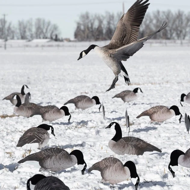 V2F Flocked Canada Goose Silhouettes - Image 4