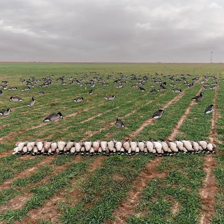 V2F Flocked Canada Goose Silhouettes - Image 8