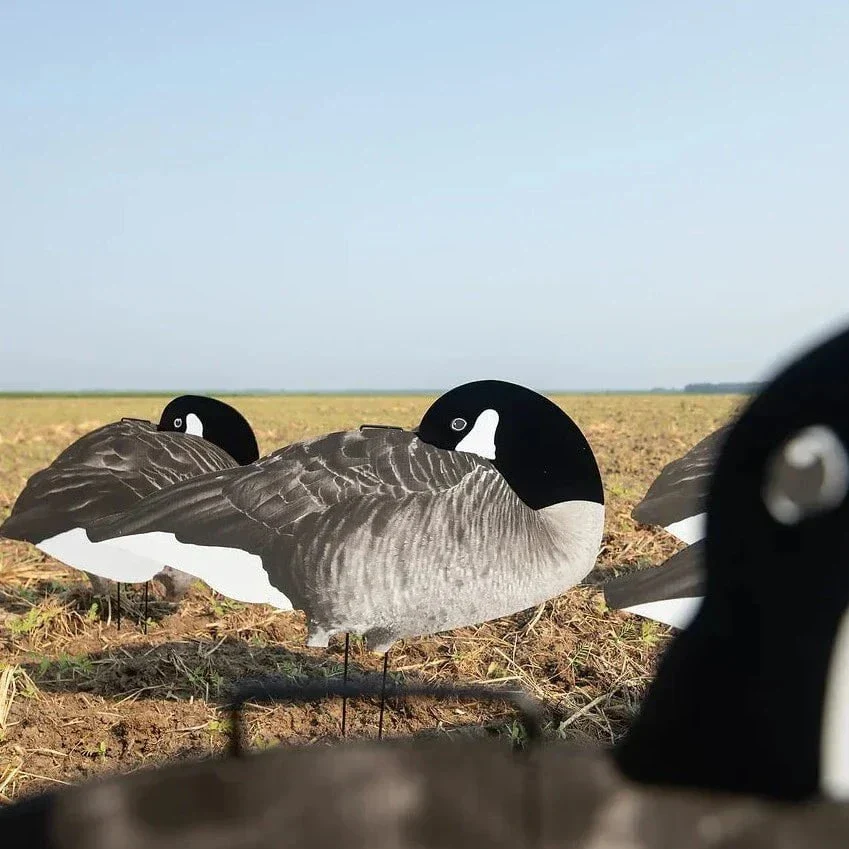 V2F Flocked Sleeper Canada Goose Silhouettes - Image 4