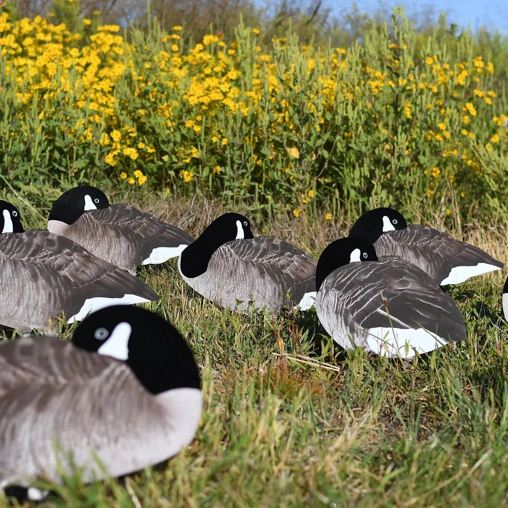 V2F Flocked Sleeper Canada Goose Silhouettes - Image 5
