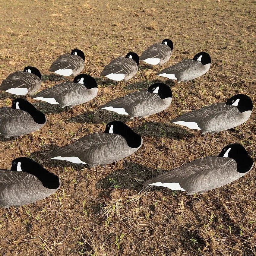 V2F Flocked Sleeper Canada Goose Silhouettes - Image 6