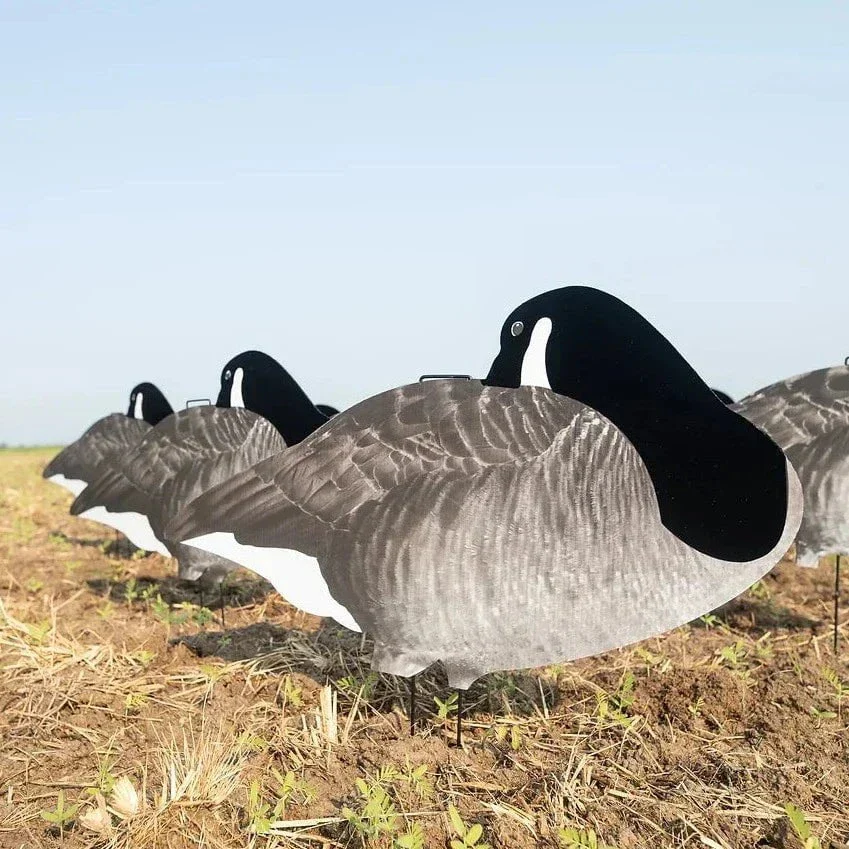 V2F Flocked Sleeper Canada Goose Silhouettes - Image 7