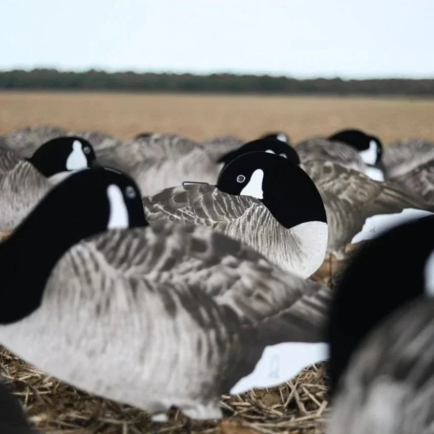 V2F Flocked Sleeper Canada Goose Silhouettes - Image 8