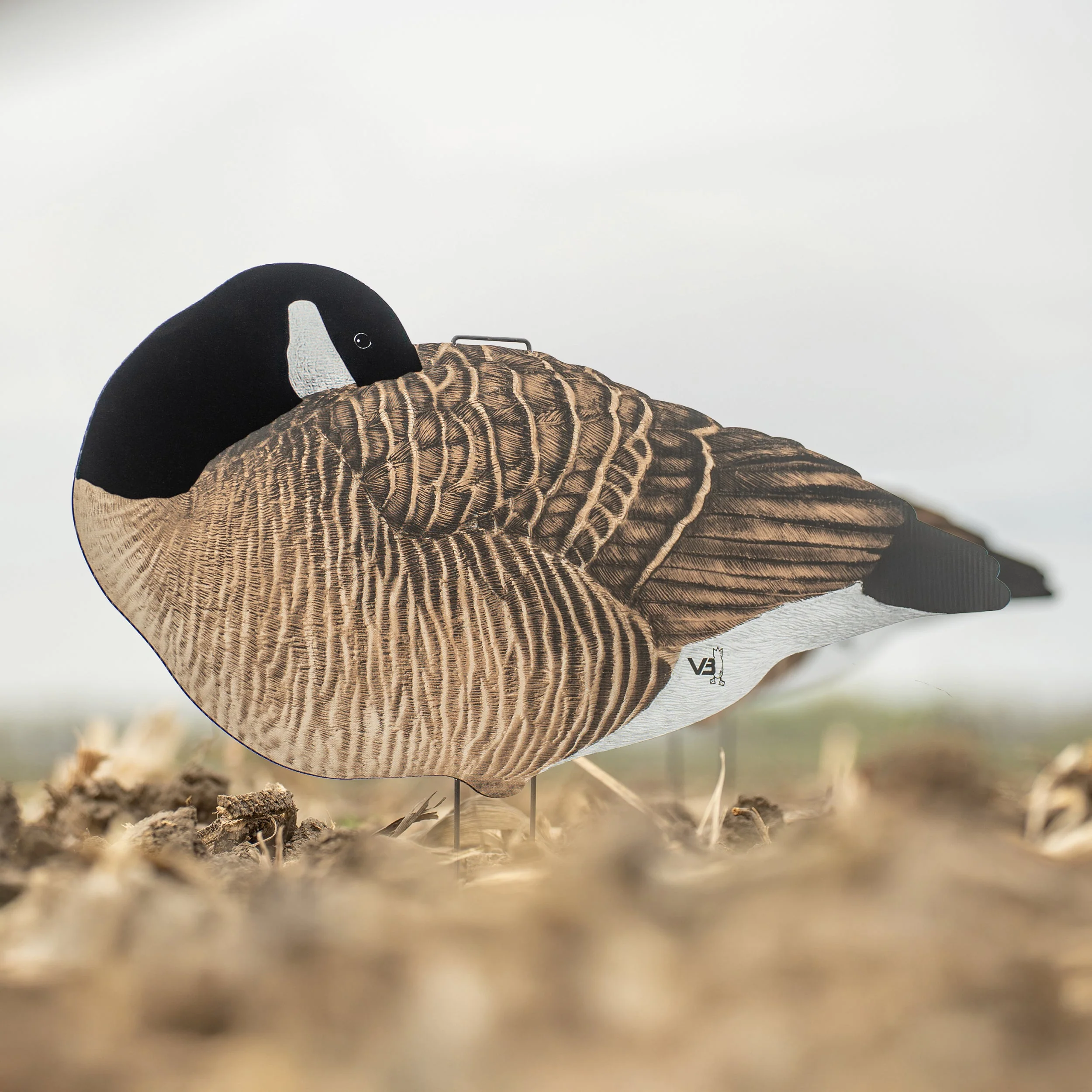 V3F Flocked Sleeper Canada Silhouettes