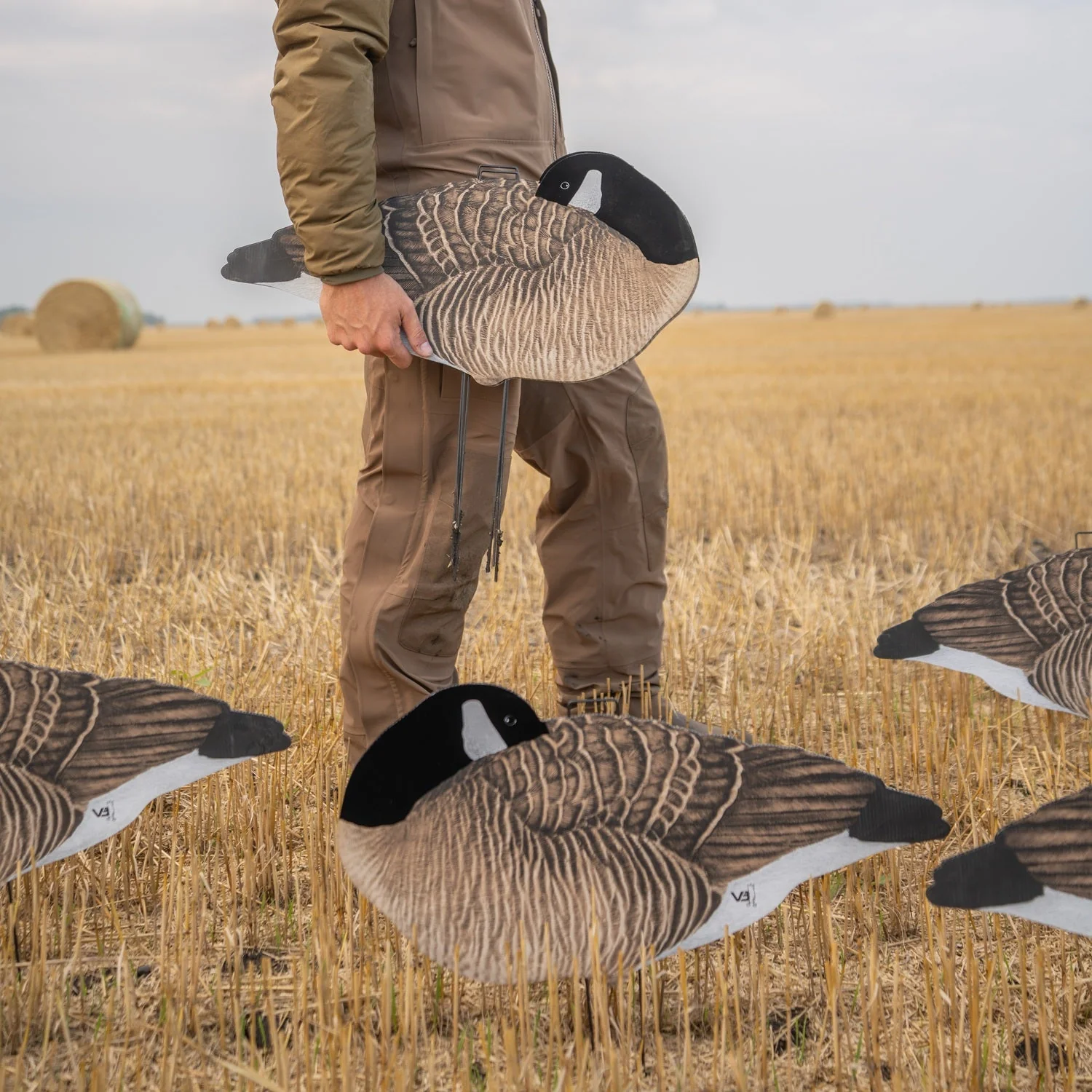 V3F Flocked Sleeper Canada Silhouettes - Image 2
