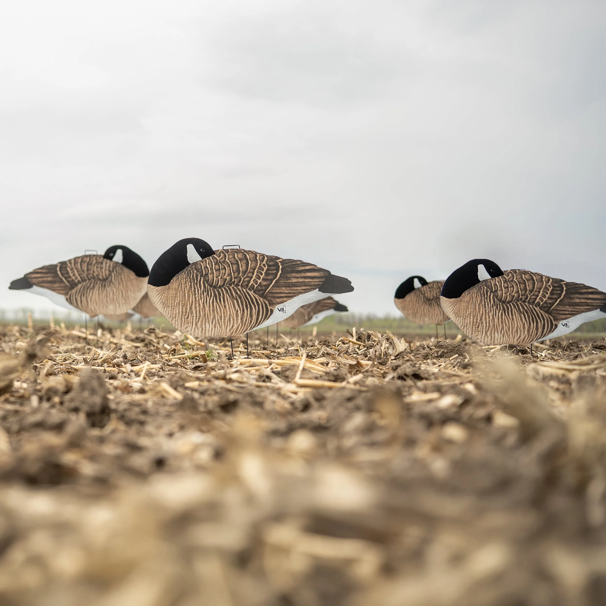 V3F Flocked Sleeper Canada Silhouettes - Image 3
