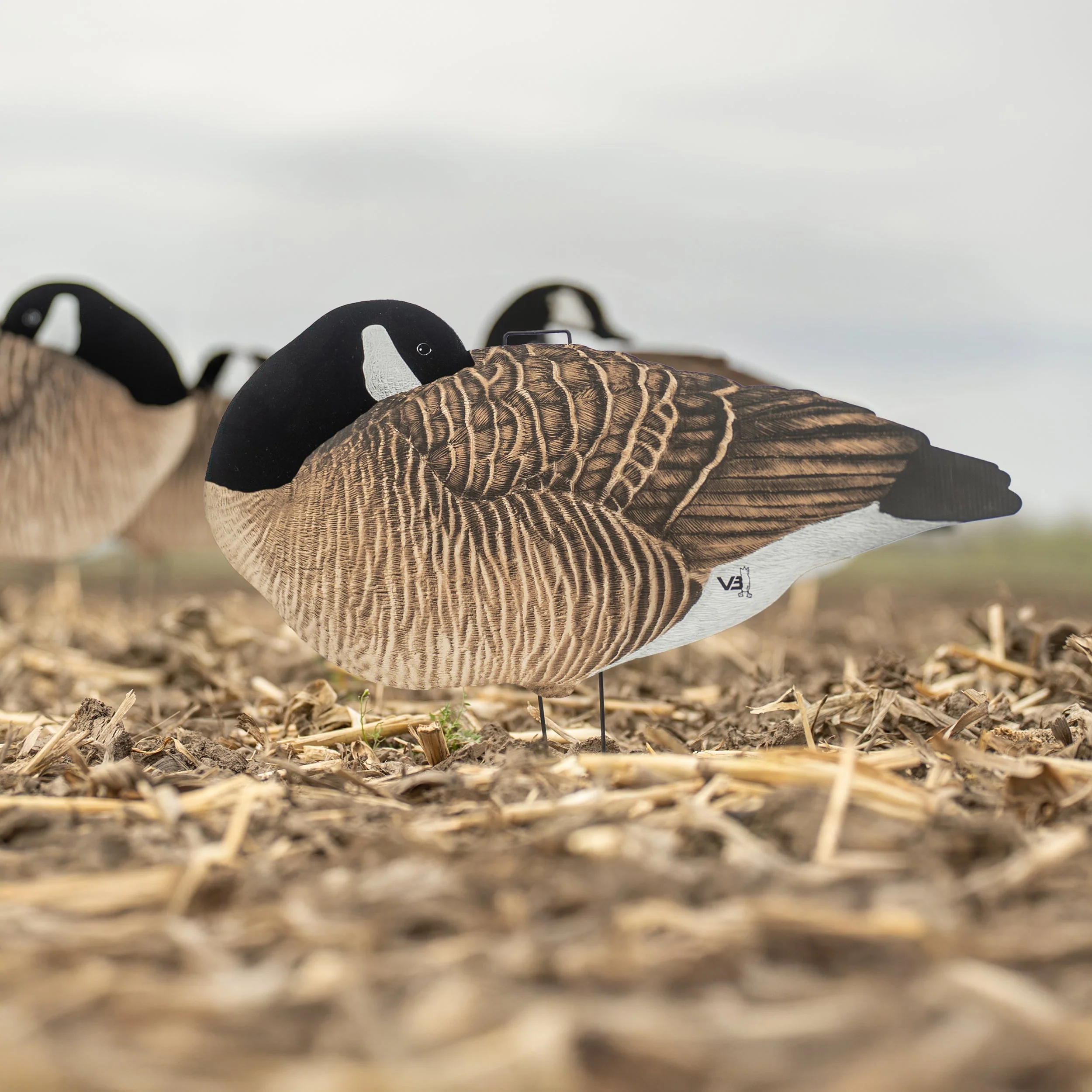 V3F Flocked Sleeper Canada Silhouettes - Image 4