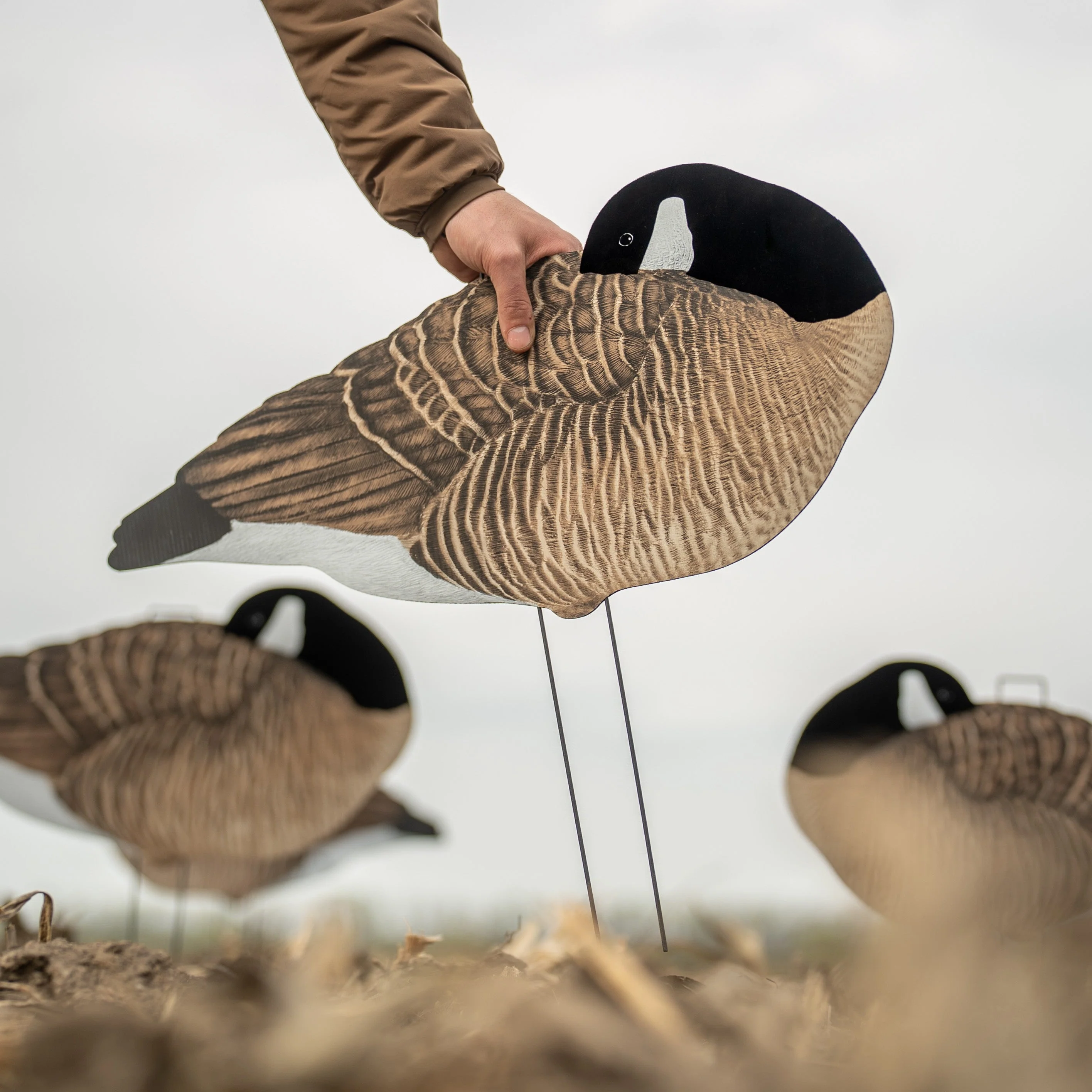 V3F Flocked Sleeper Canada Silhouettes - Image 5