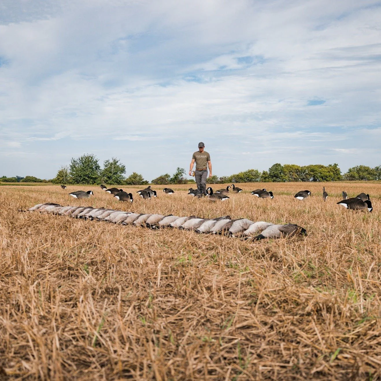 V2FF Fully Flocked Canada Goose Silhouettes - Image 8