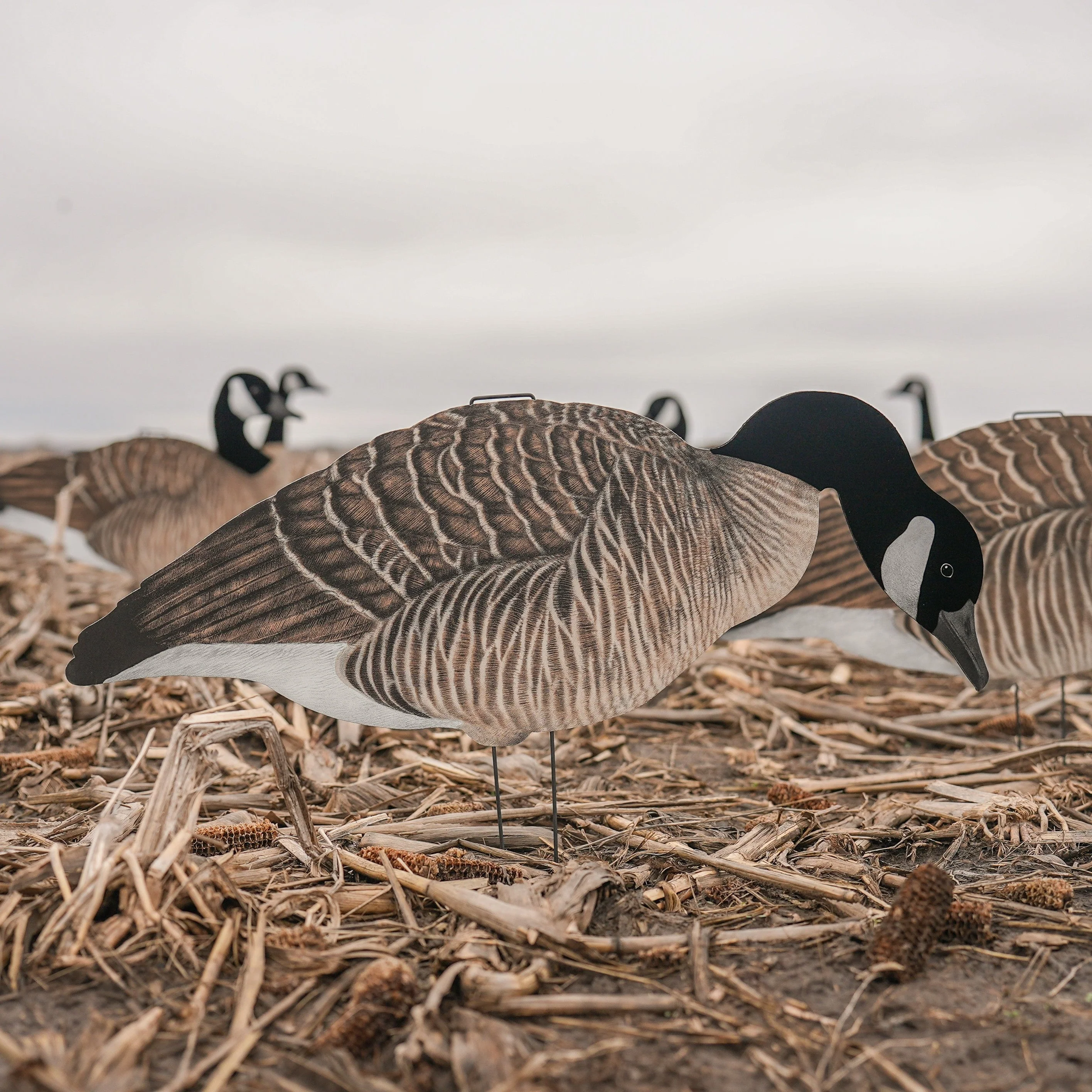 V3FF Fully Flocked Canada Silhouettes - Image 5
