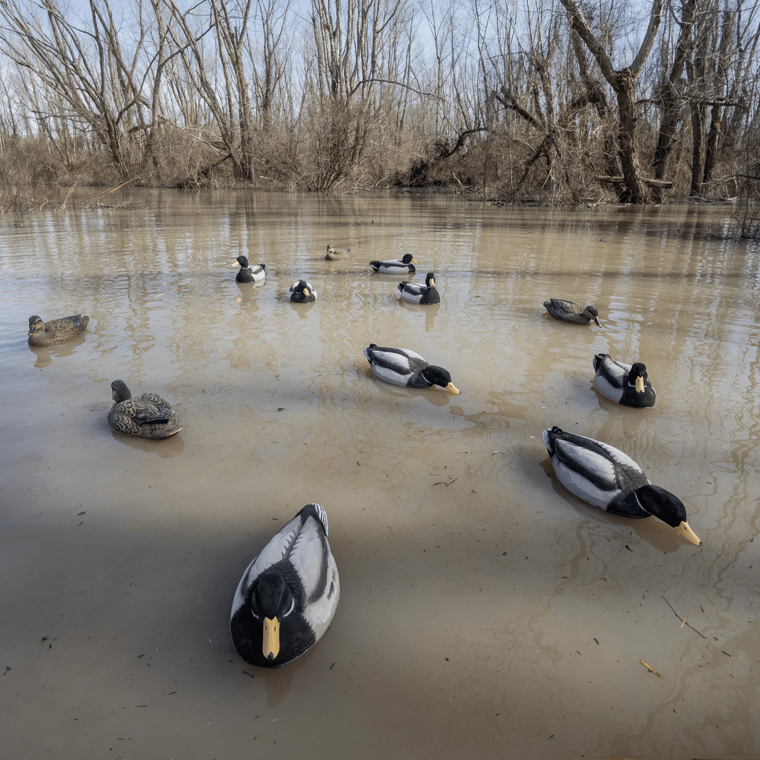 F1FF Fully Flocked Mallard Floaters - Image 4