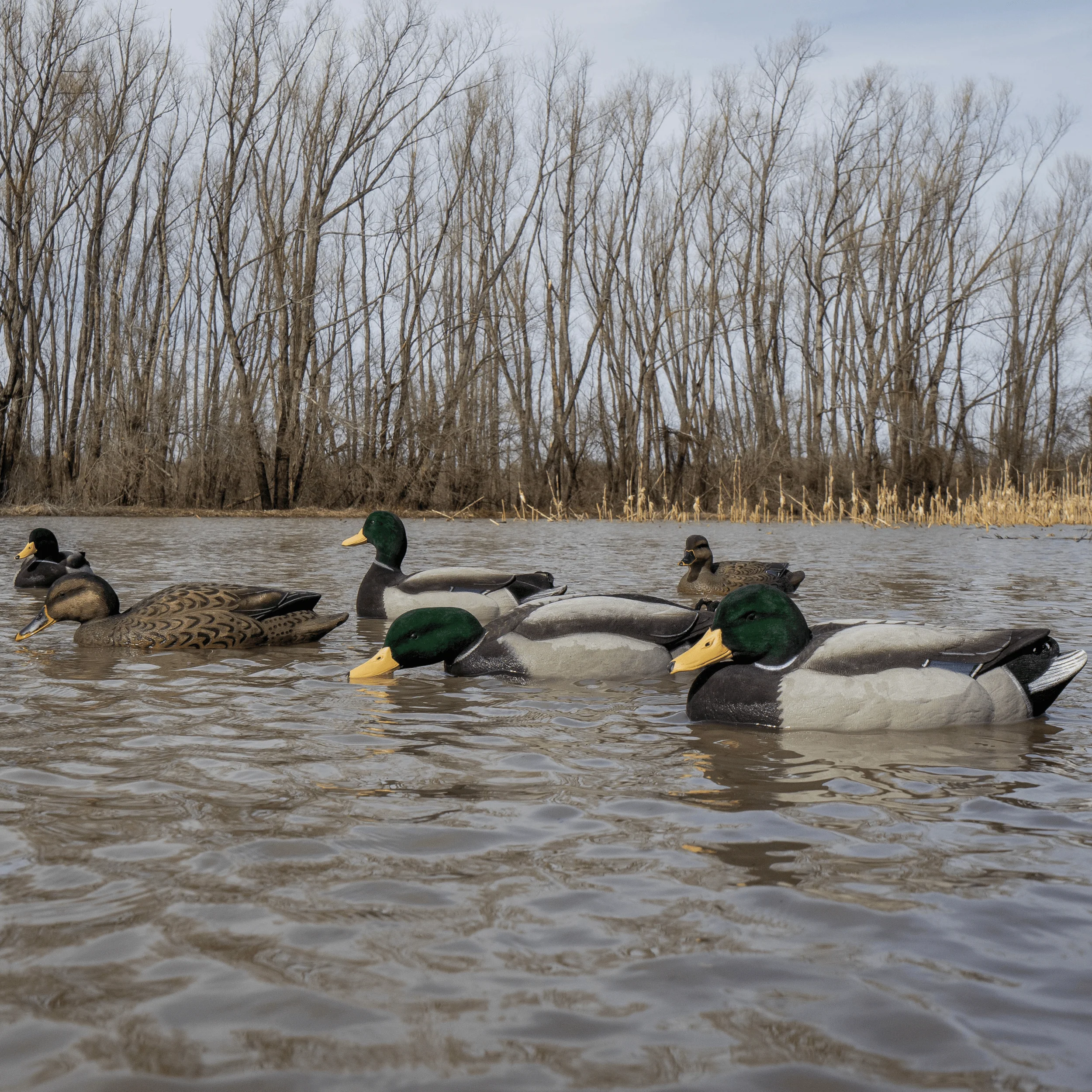 F1FF Fully Flocked Mallard Floaters - Image 5