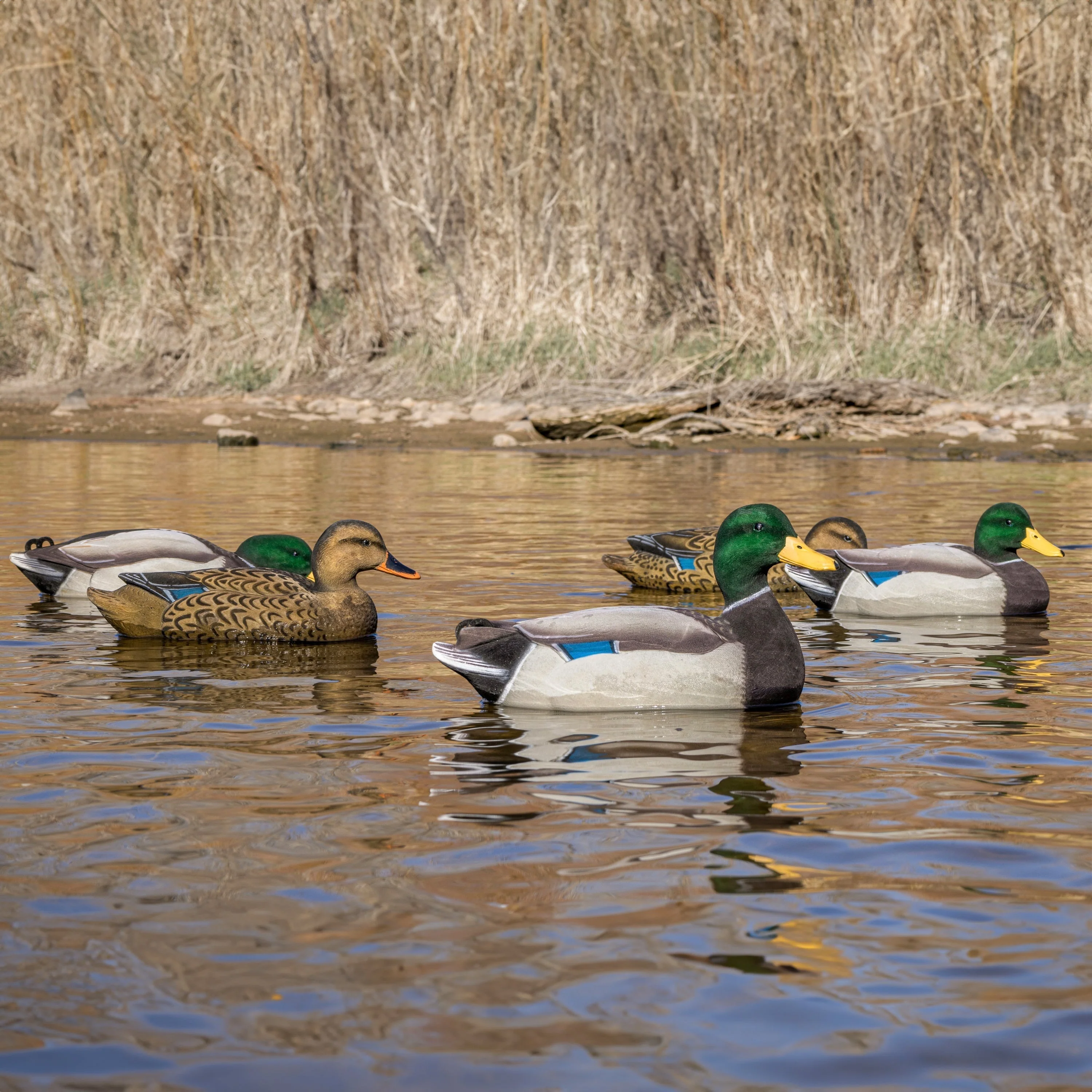 F1FF Fully Flocked Mallard Floaters - Image 7