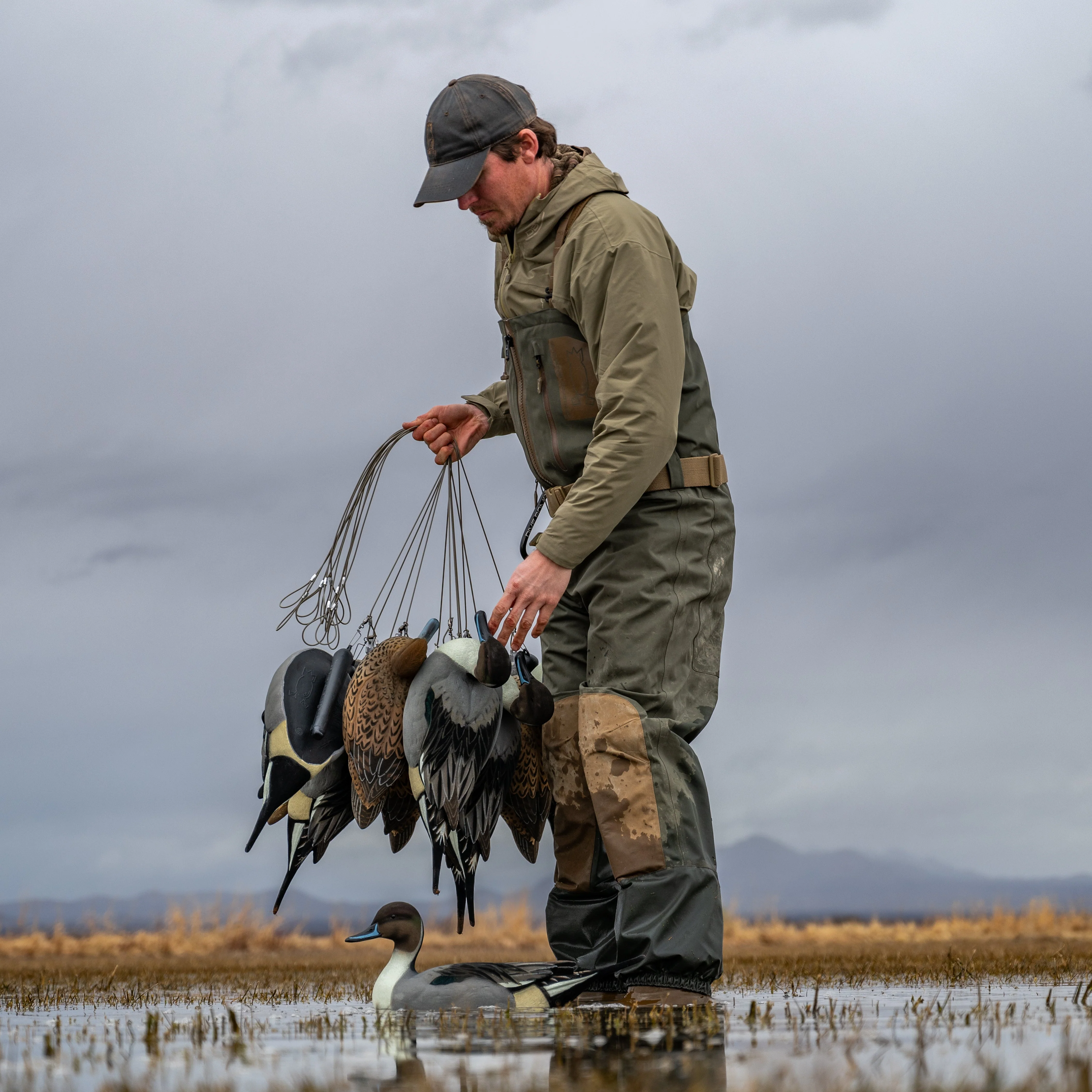 F1FF (Fully Flocked) Fully Flocked Pintail Floaters - Image 8