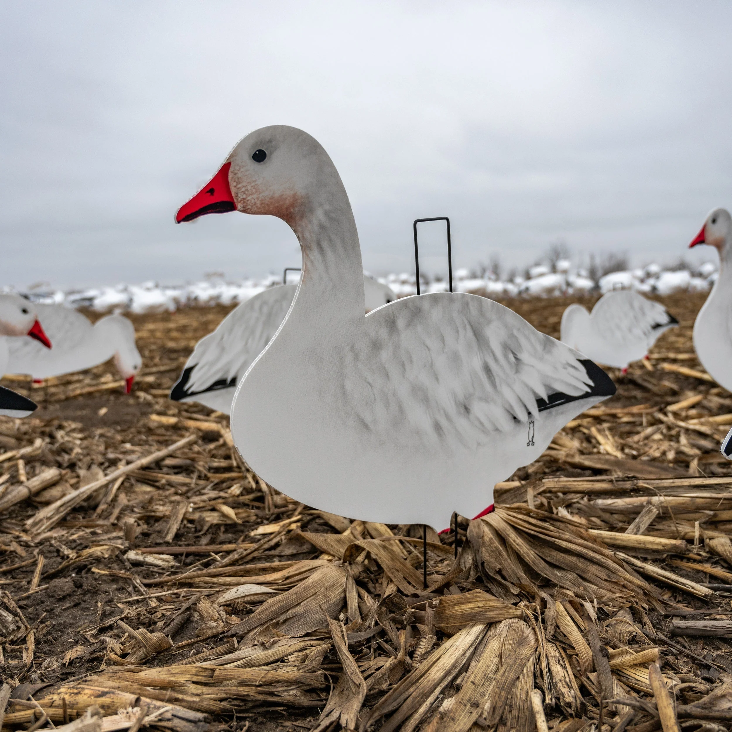 V2FF Fully Flocked Snow Goose Silhouettes - Image 2