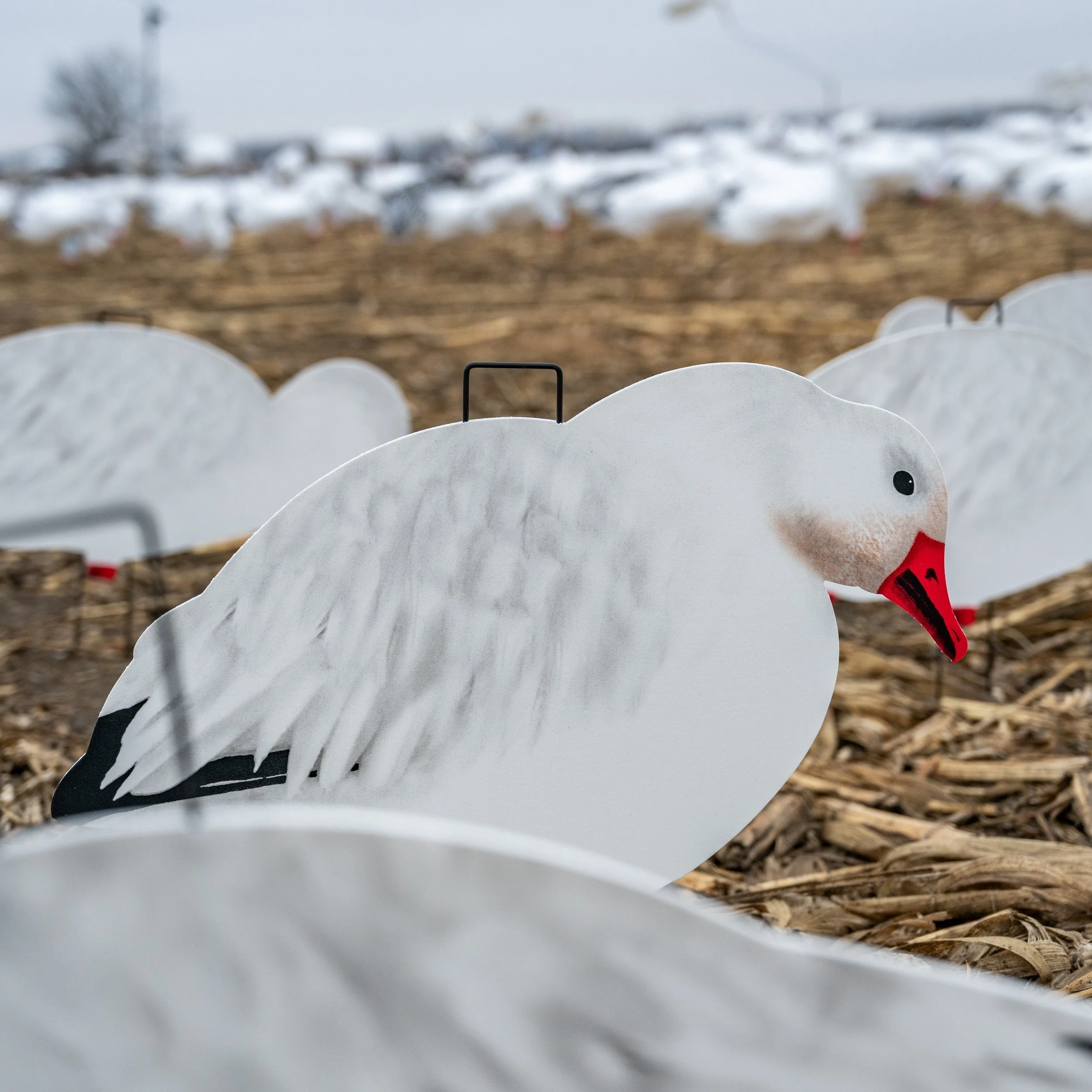 V2FF Fully Flocked Snow Goose Silhouettes - Image 3
