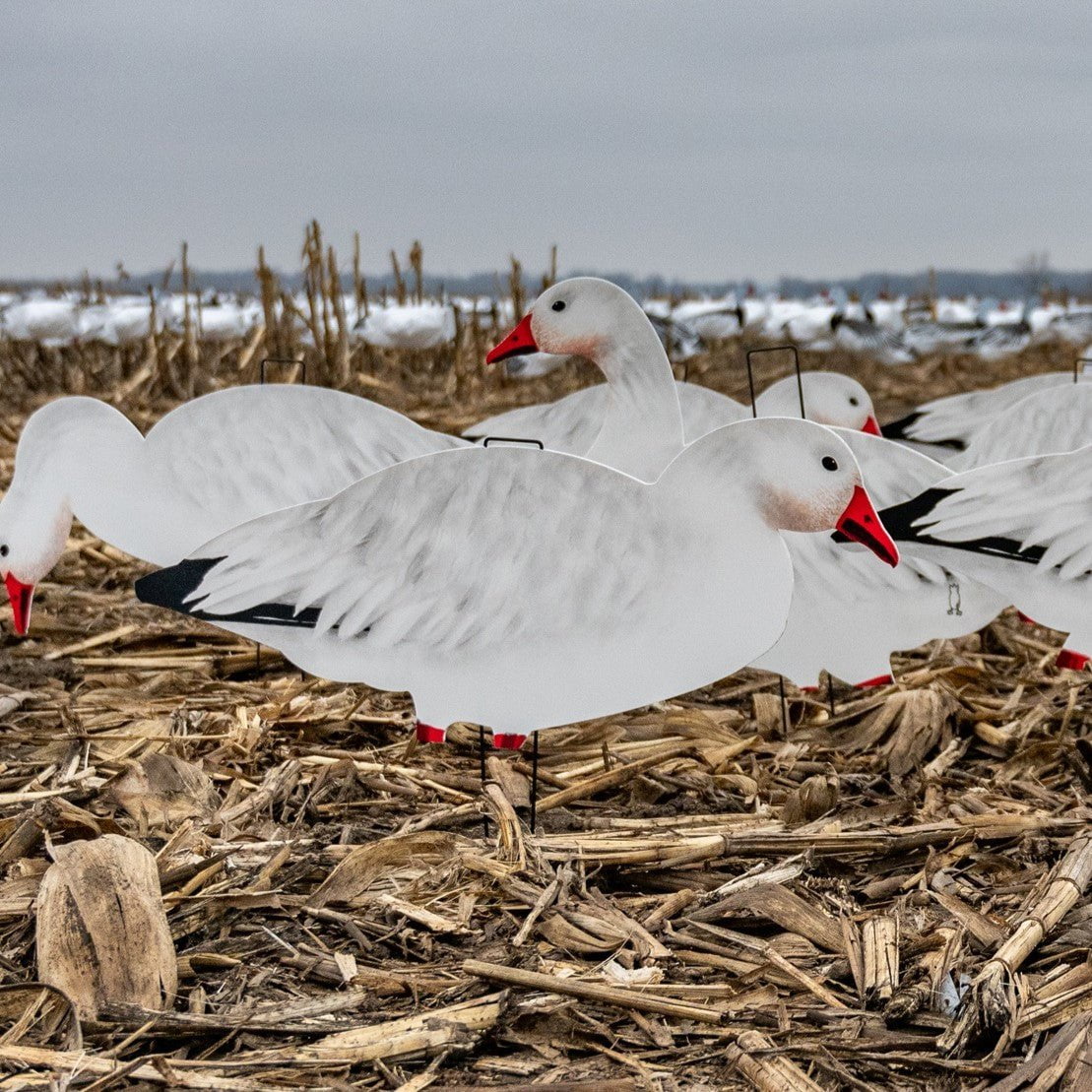 V2FF Fully Flocked Snow Goose Silhouettes - Image 4