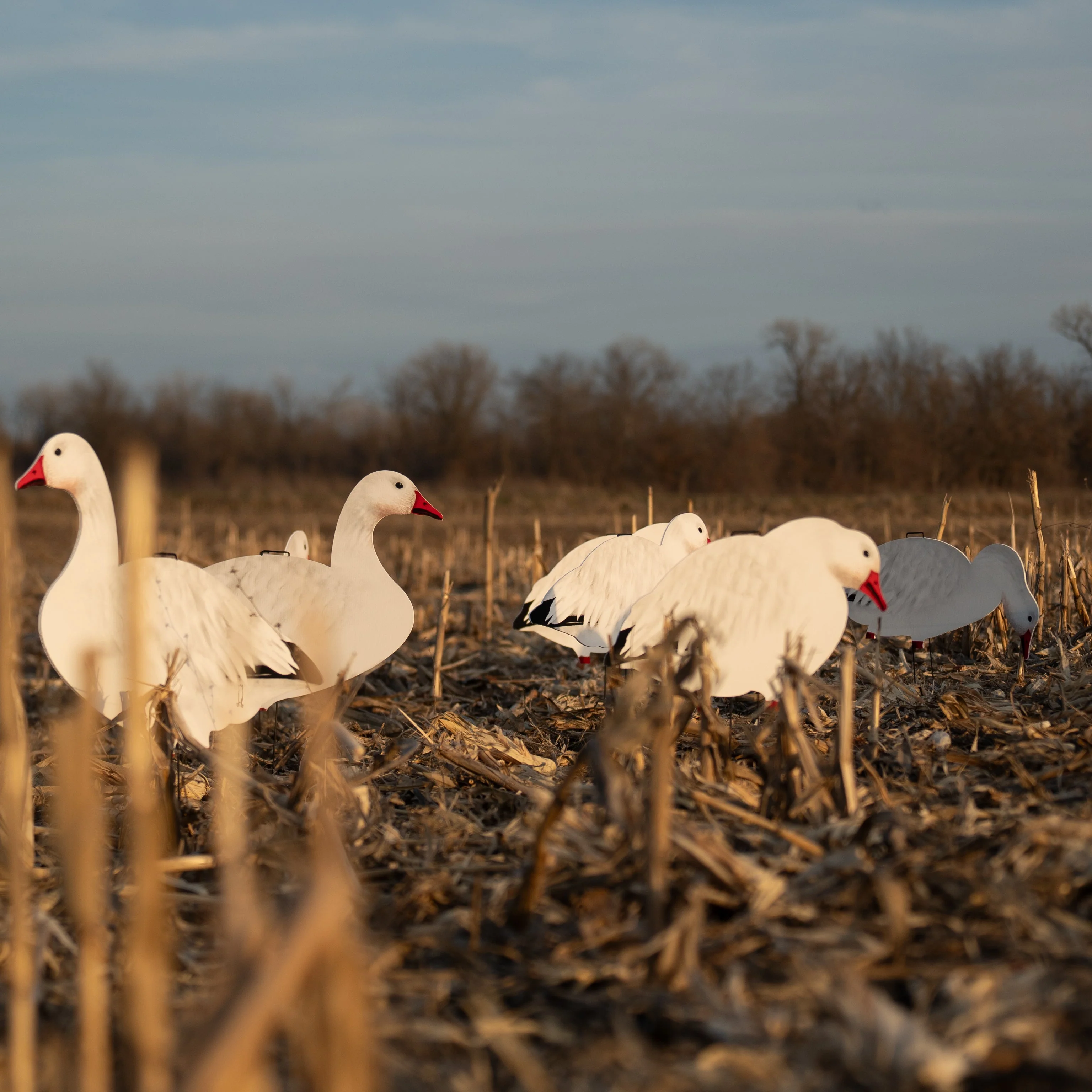 V2FF Fully Flocked Snow Goose Silhouettes - Image 5