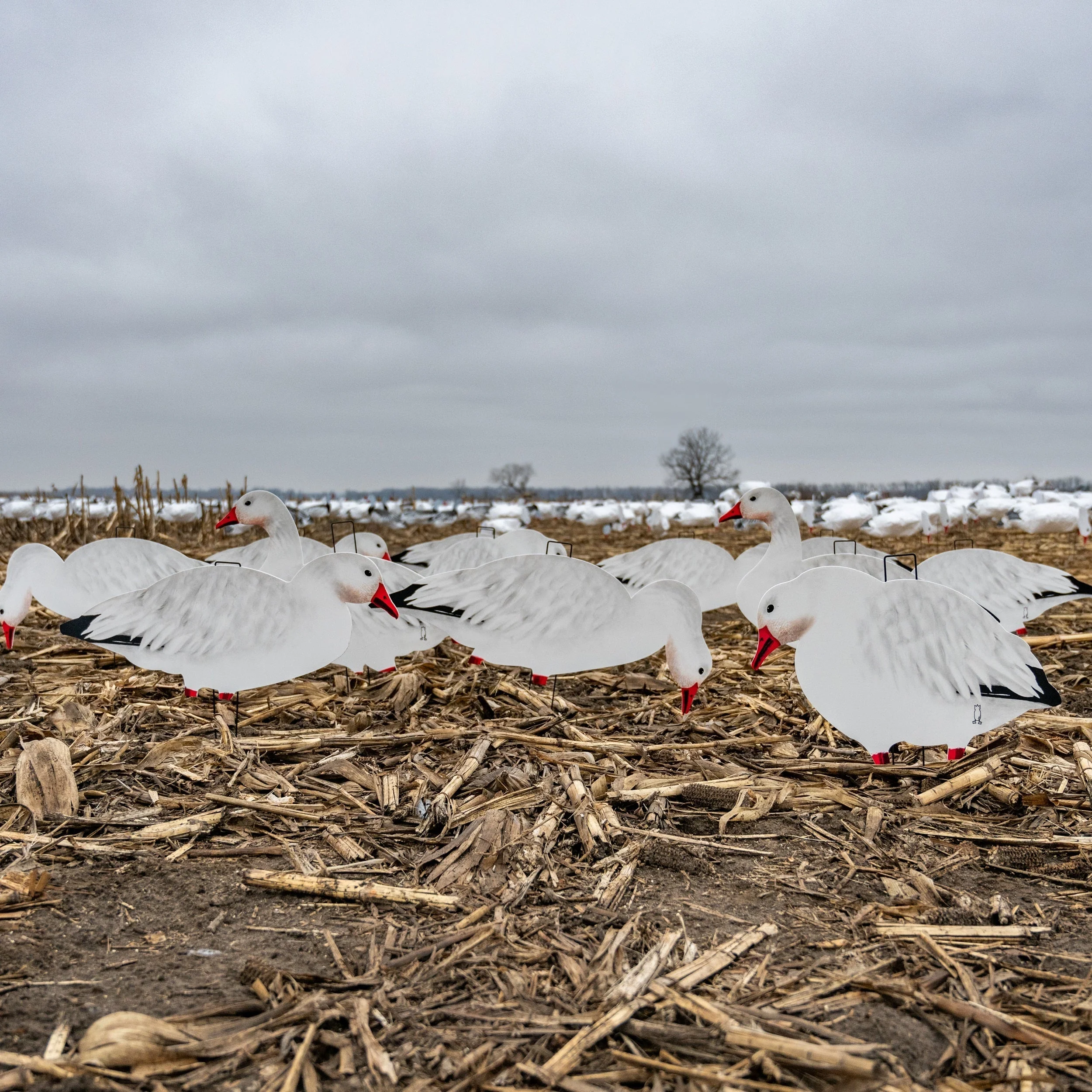 V2FF Fully Flocked Snow Goose Silhouettes - Image 6