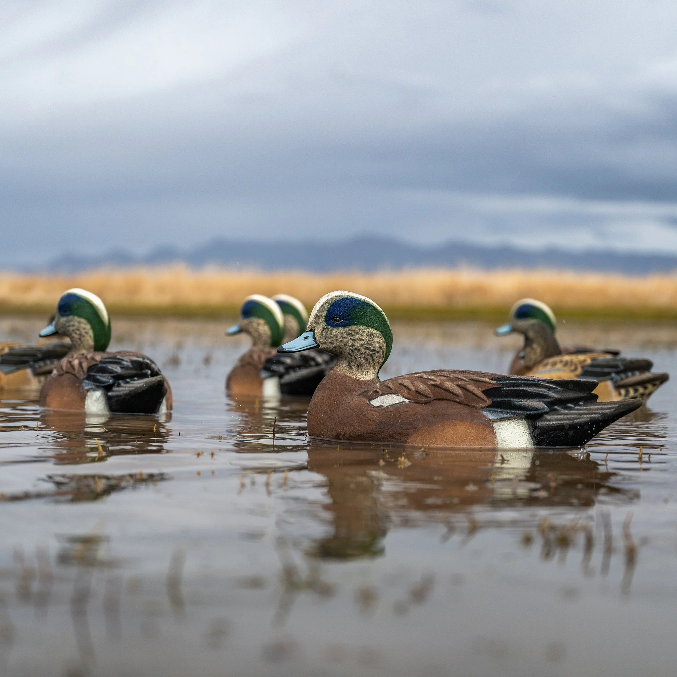 F1FF Fully Flocked Wigeon Floaters