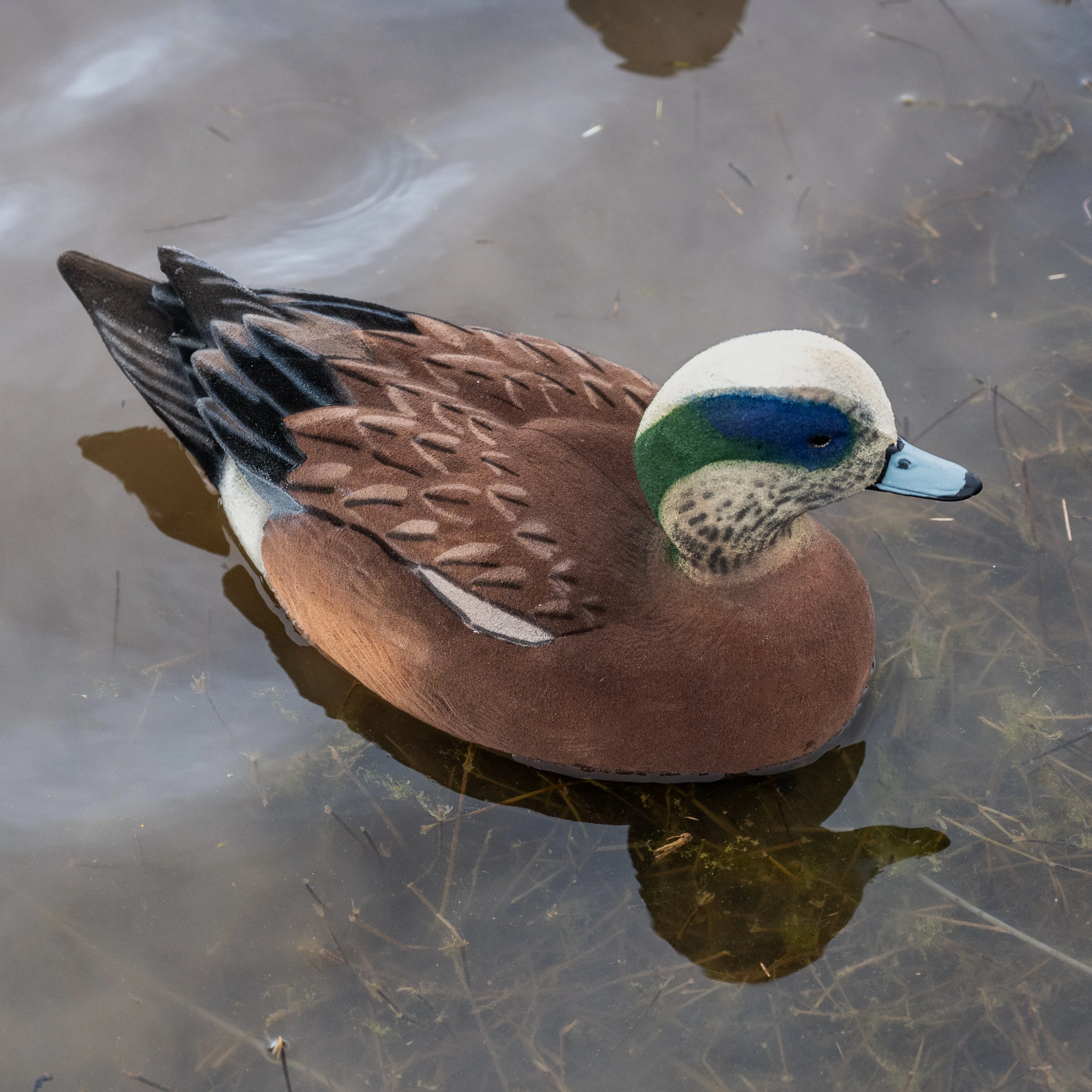 F1FF Fully Flocked Wigeon Floaters - Image 4
