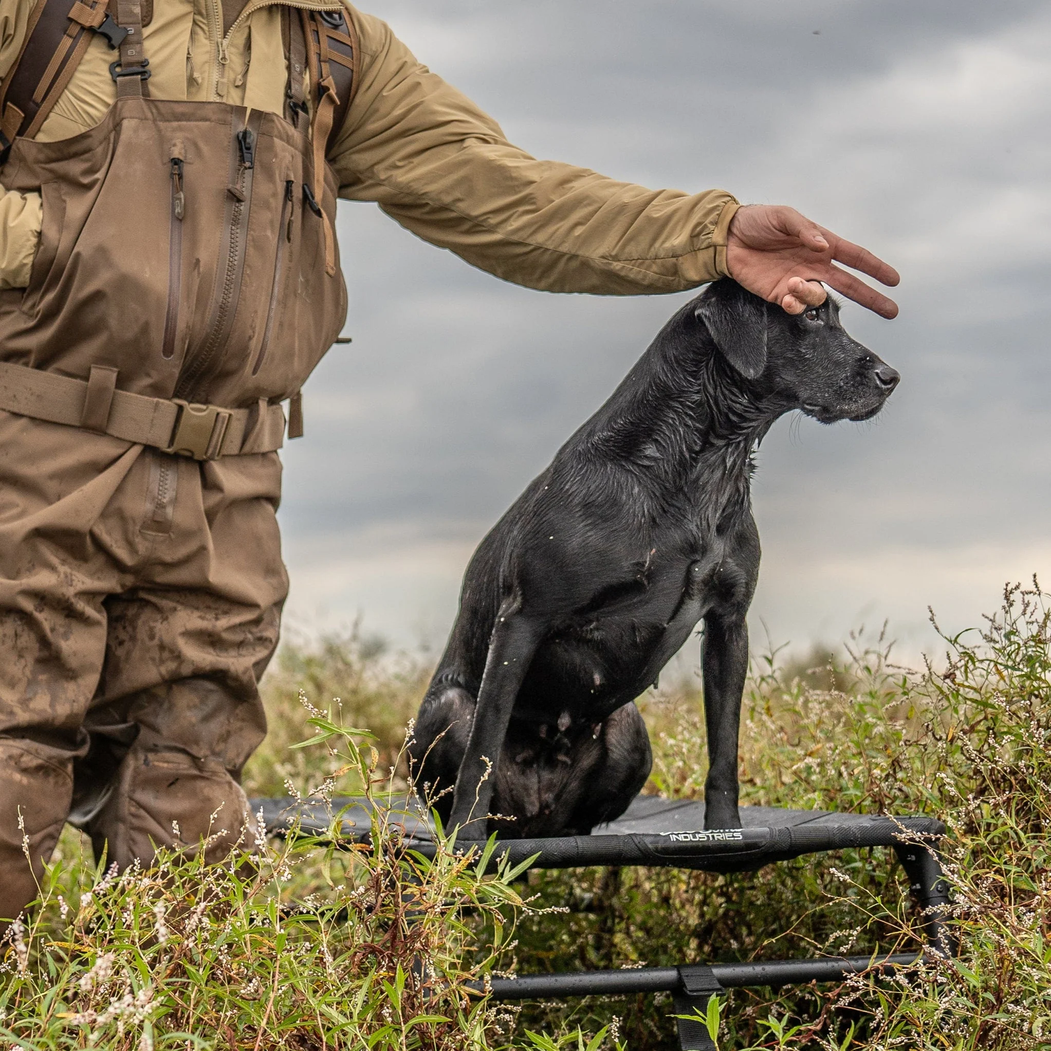Elev8 Hunting Dog Stand - Image 3