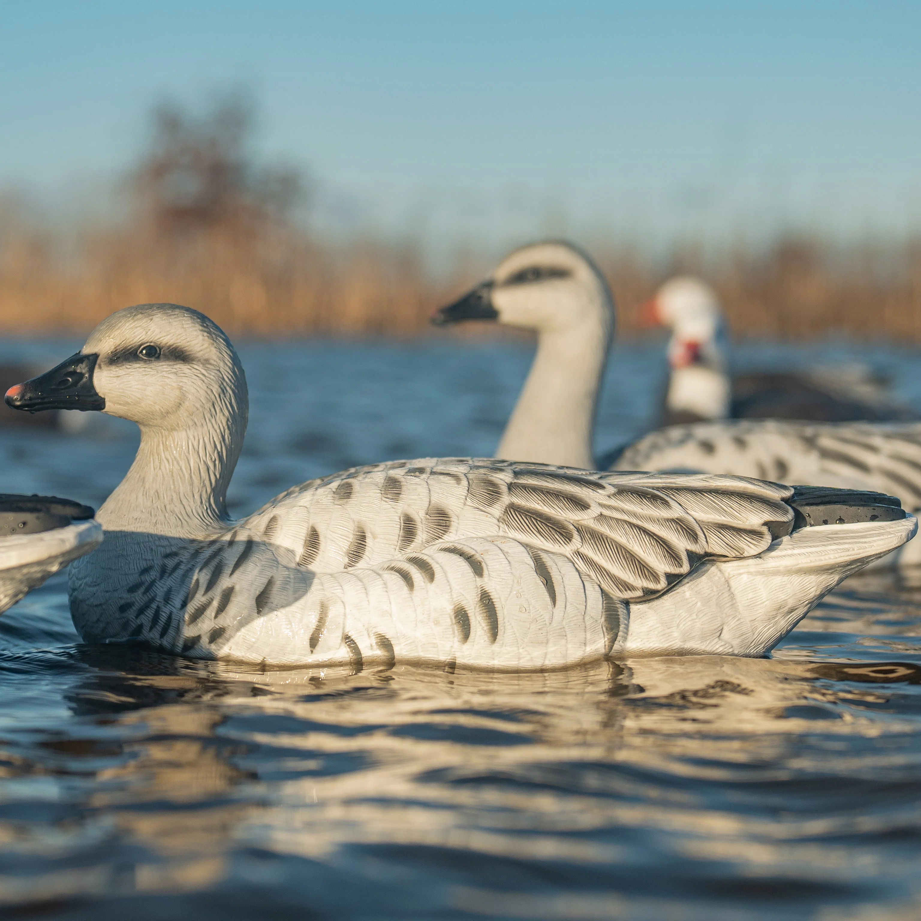 F1 Juvie Goose Floaters - Image 3