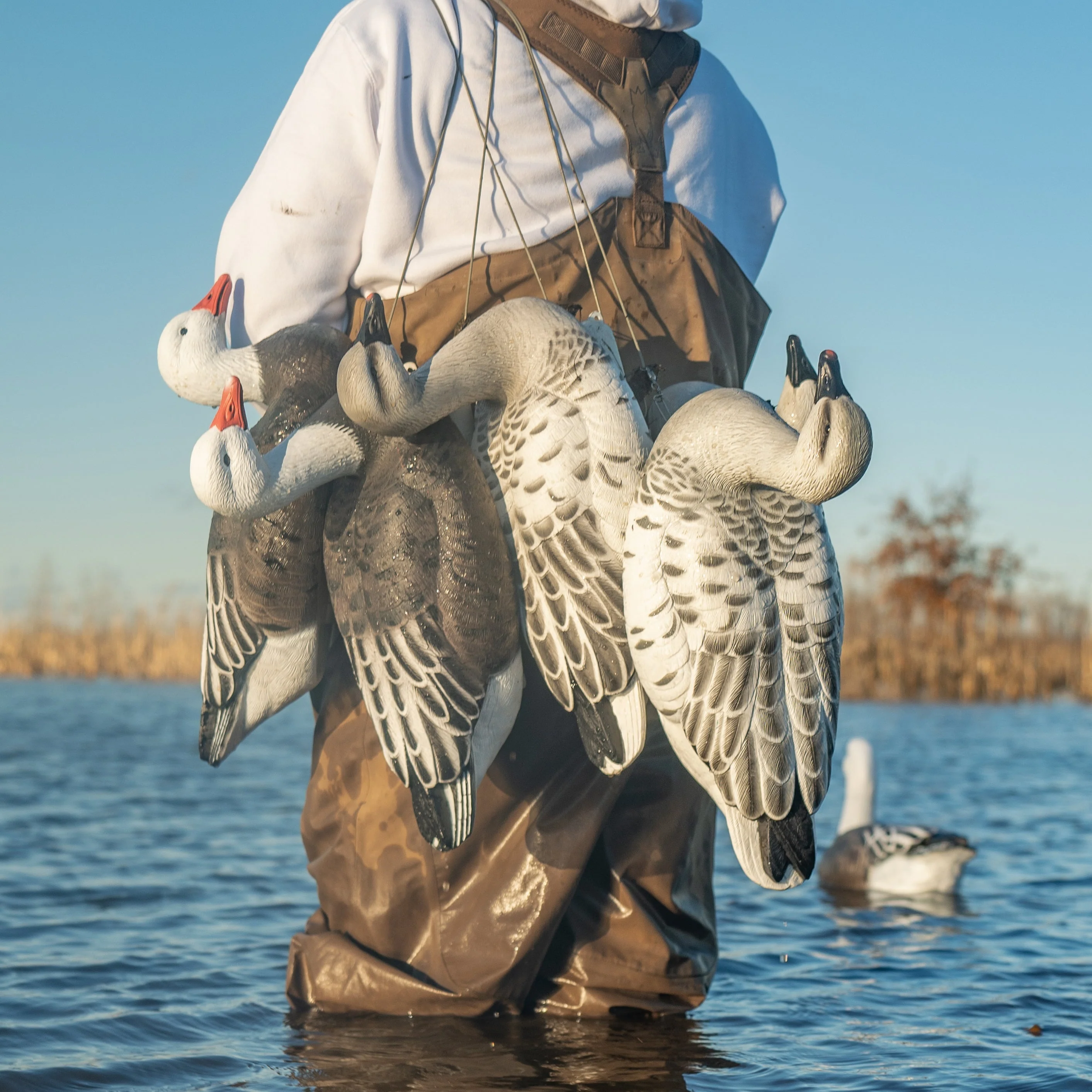 F1 Juvie Goose Floaters - Image 4